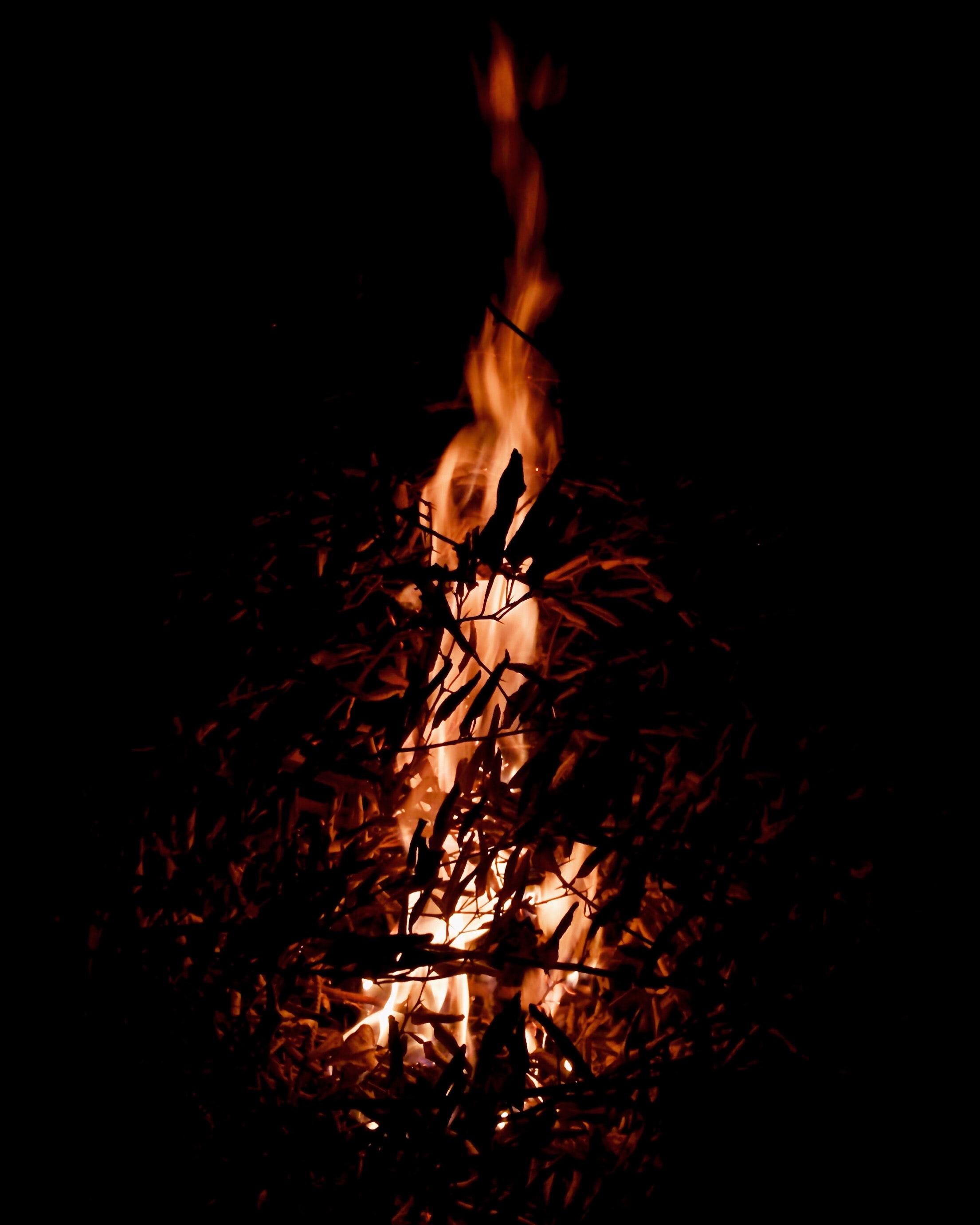 Laden Sie das Feuer, Bonfire, Geäst, Zweige, Dunkelheit, Dunkel-Bild kostenlos auf Ihren PC-Desktop herunter