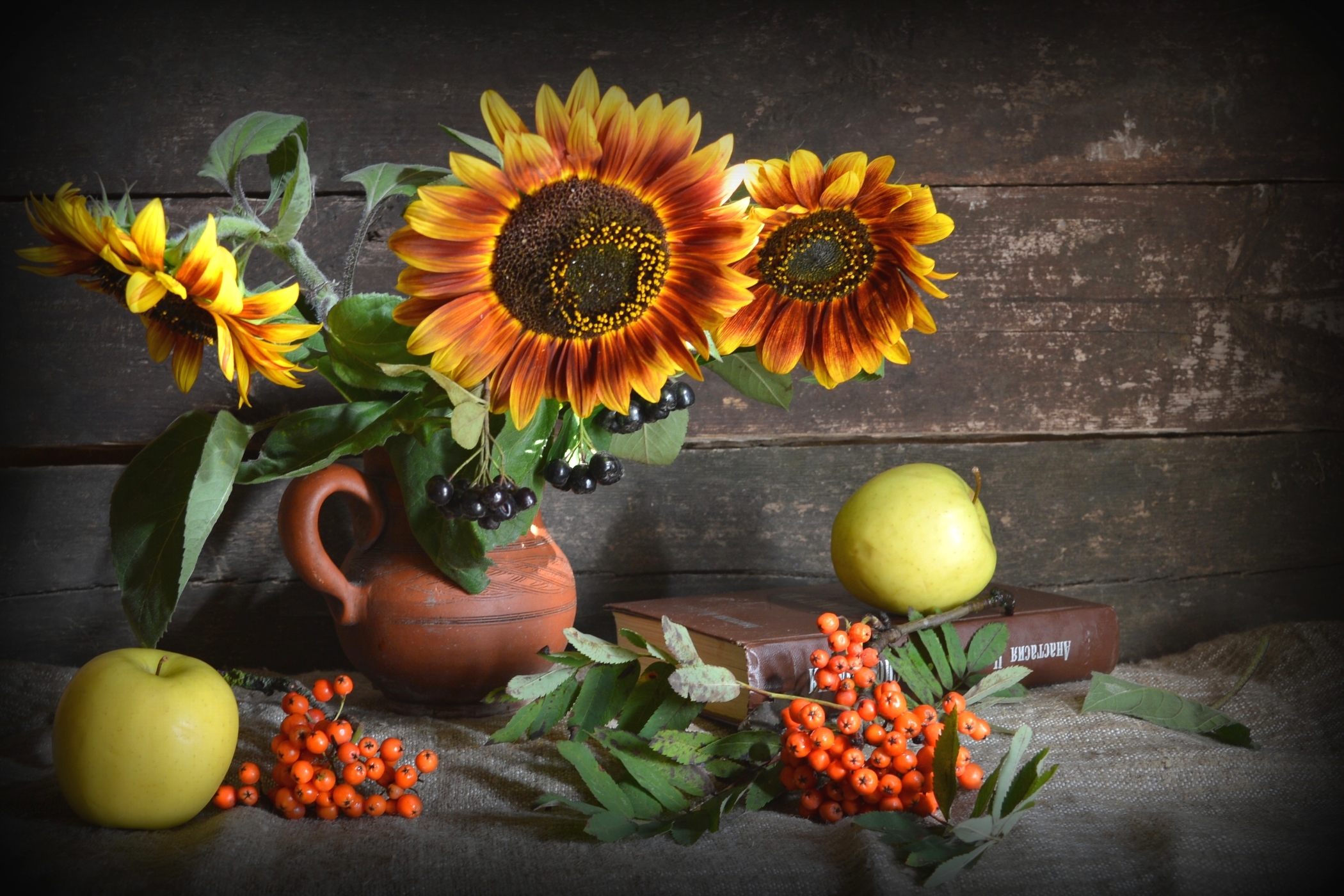 Free download wallpaper Apple, Still Life, Sunflower, Photography on your PC desktop