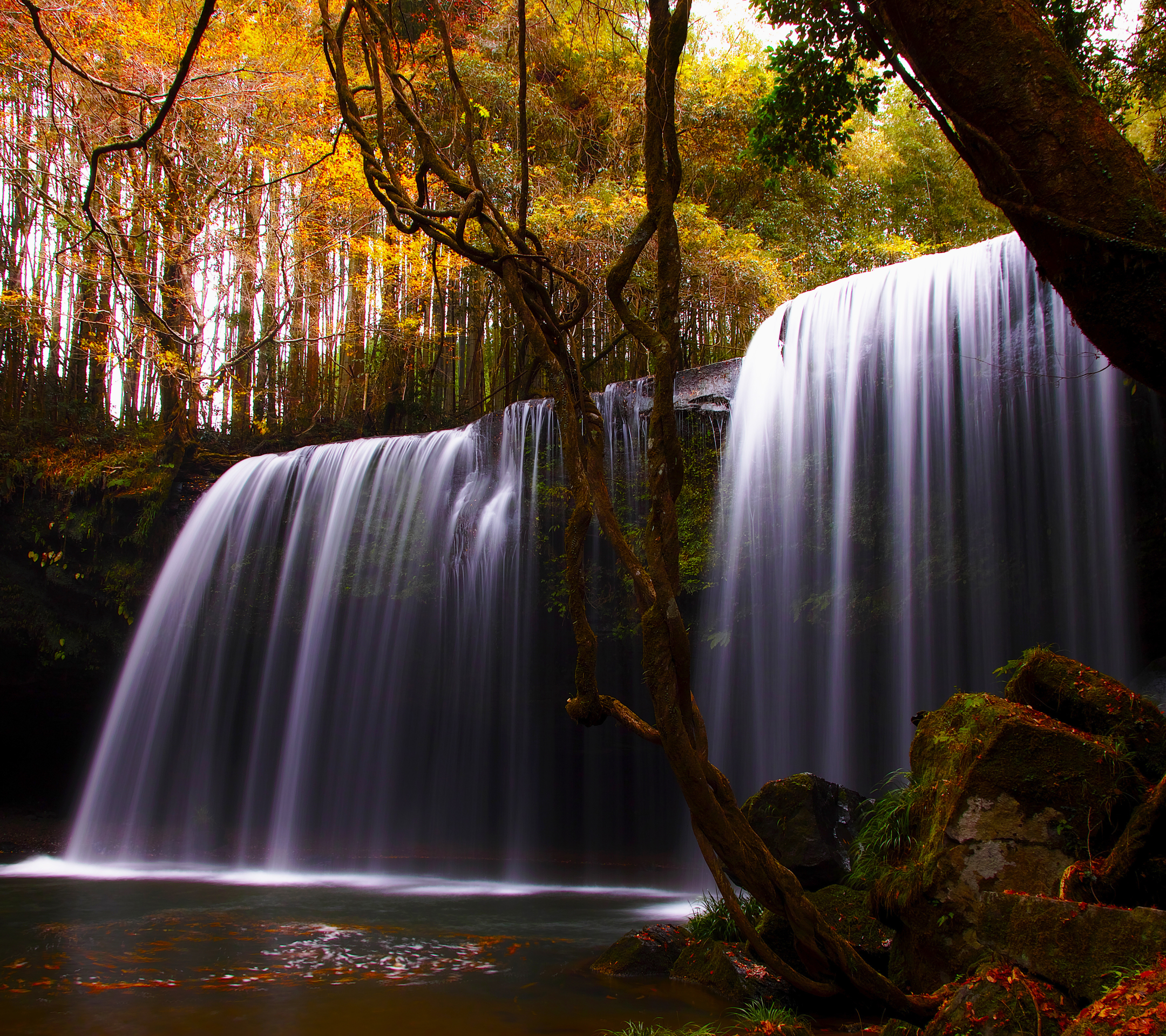 Download mobile wallpaper Nature, Waterfalls, Waterfall, Forest, Leaf, Fall, Earth, Stream, River, Season for free.
