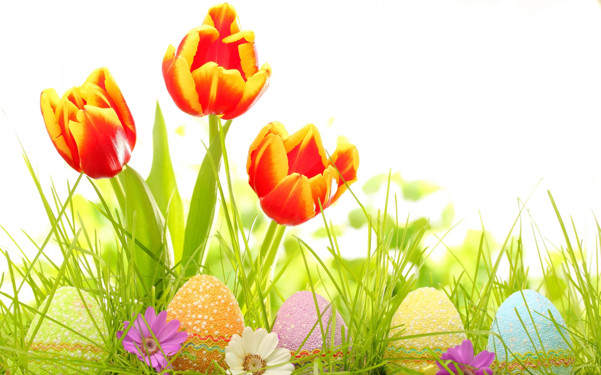 Download mobile wallpaper Grass, Easter, Flower, Holiday, Colorful, Tulip, Orange Flower, Easter Egg for free.