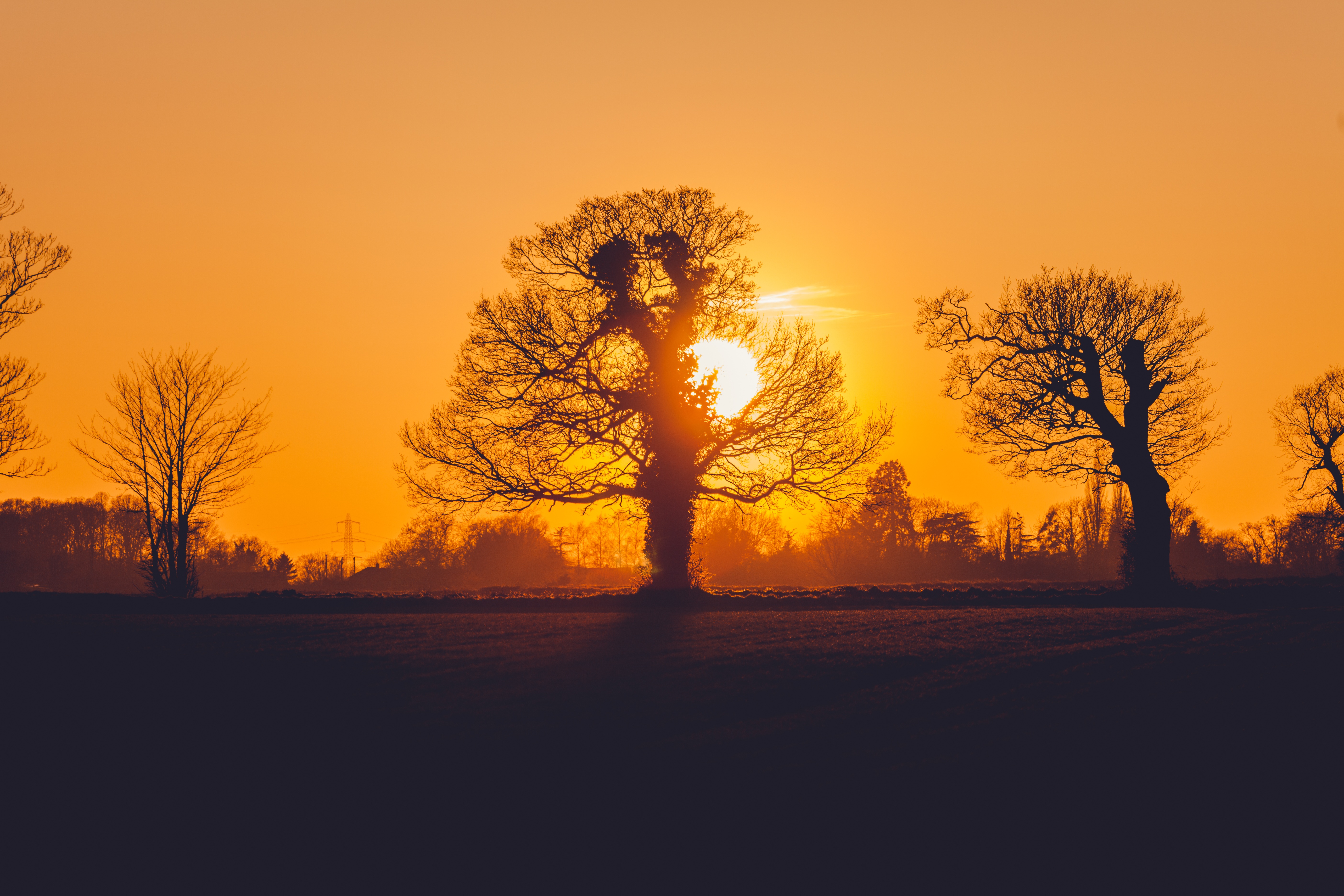 Download mobile wallpaper Nature, Sunset, Sun, Silhouette, Tree, Earth, Orange (Color) for free.