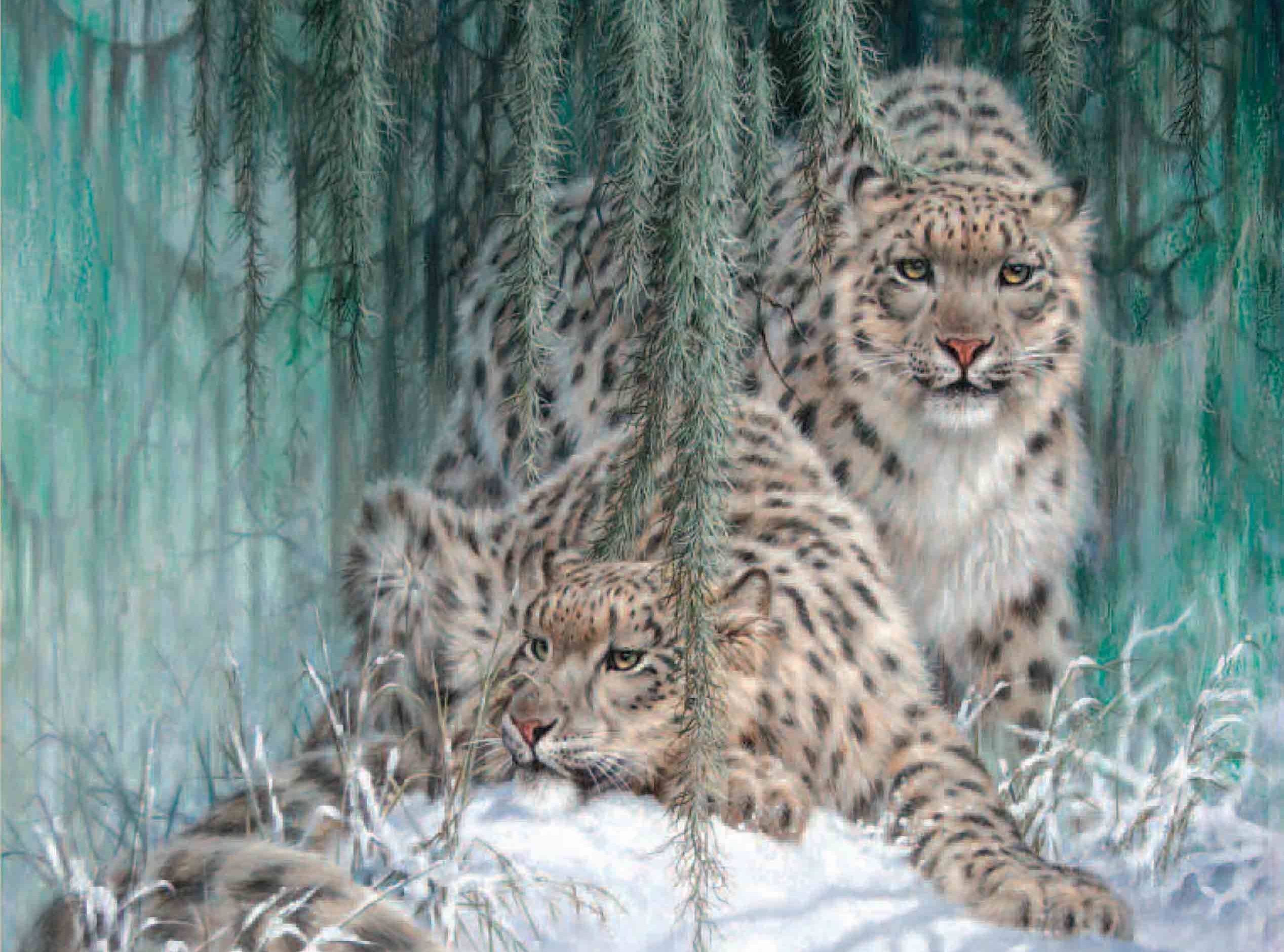 Descarga gratis la imagen Animales, Leopardo De Las Nieves en el escritorio de tu PC