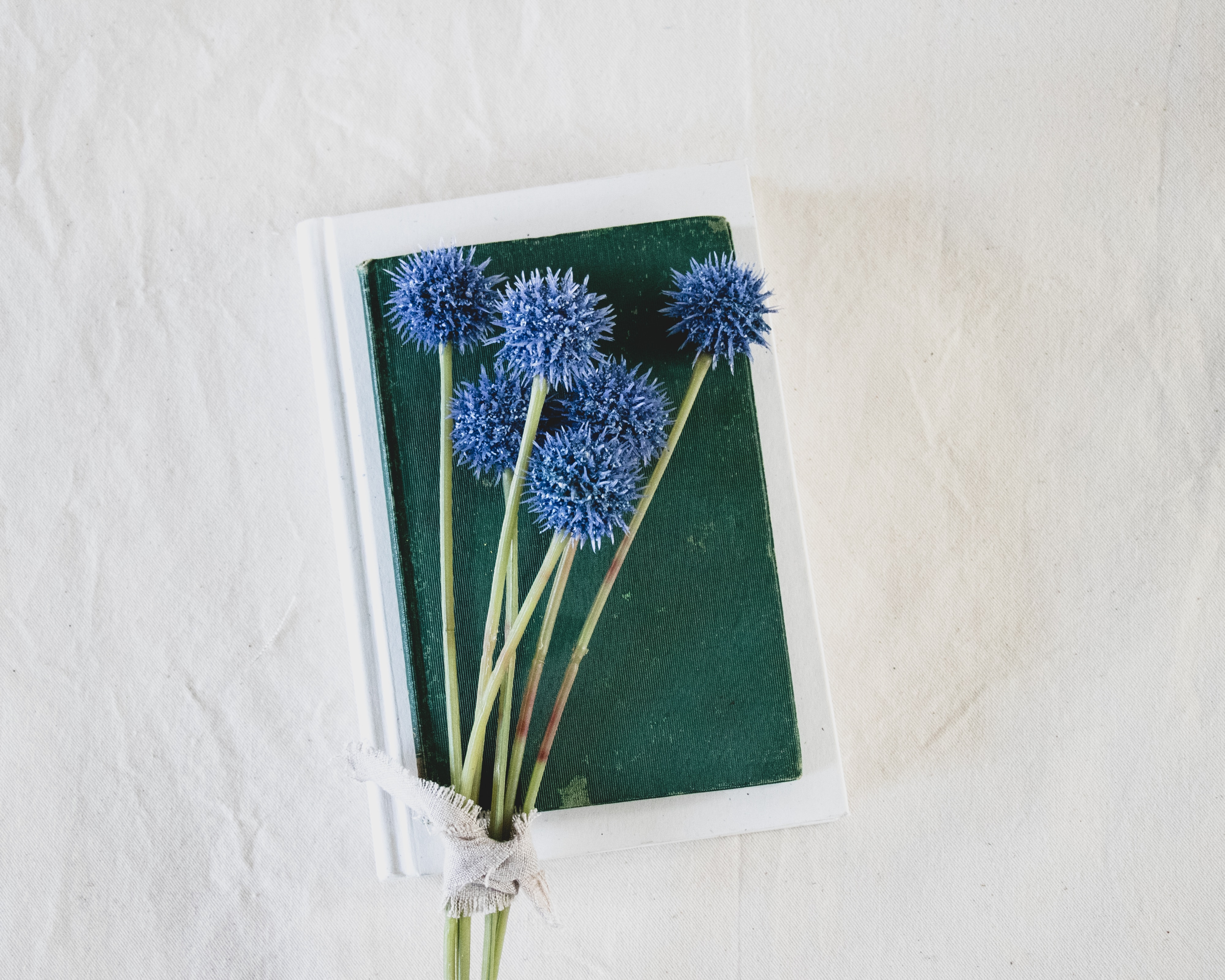Téléchargez des papiers peints mobile Fleurs, Livre, Bouquet gratuitement.