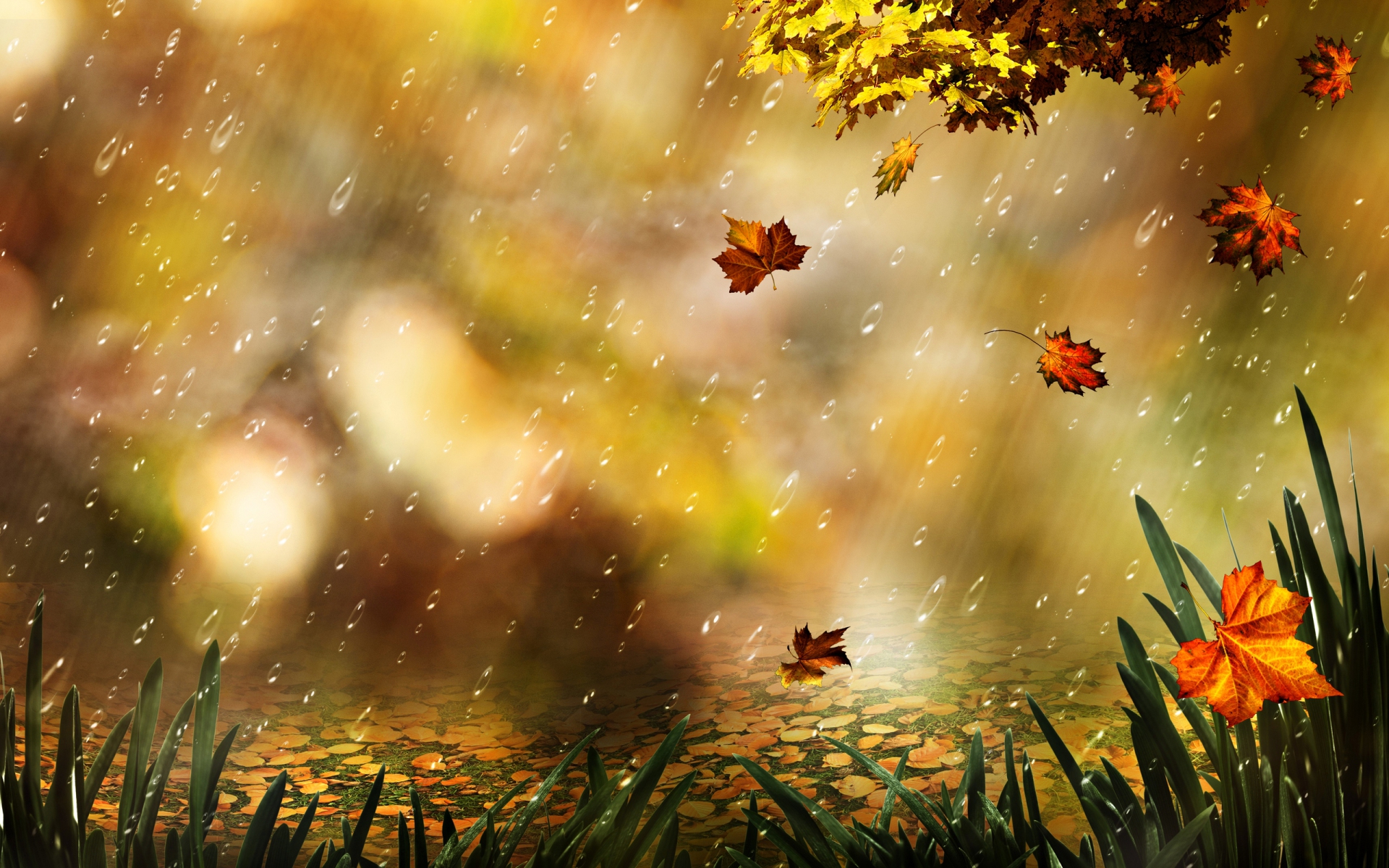 Download mobile wallpaper Nature, Leaf, Fall, Artistic, Season for free.