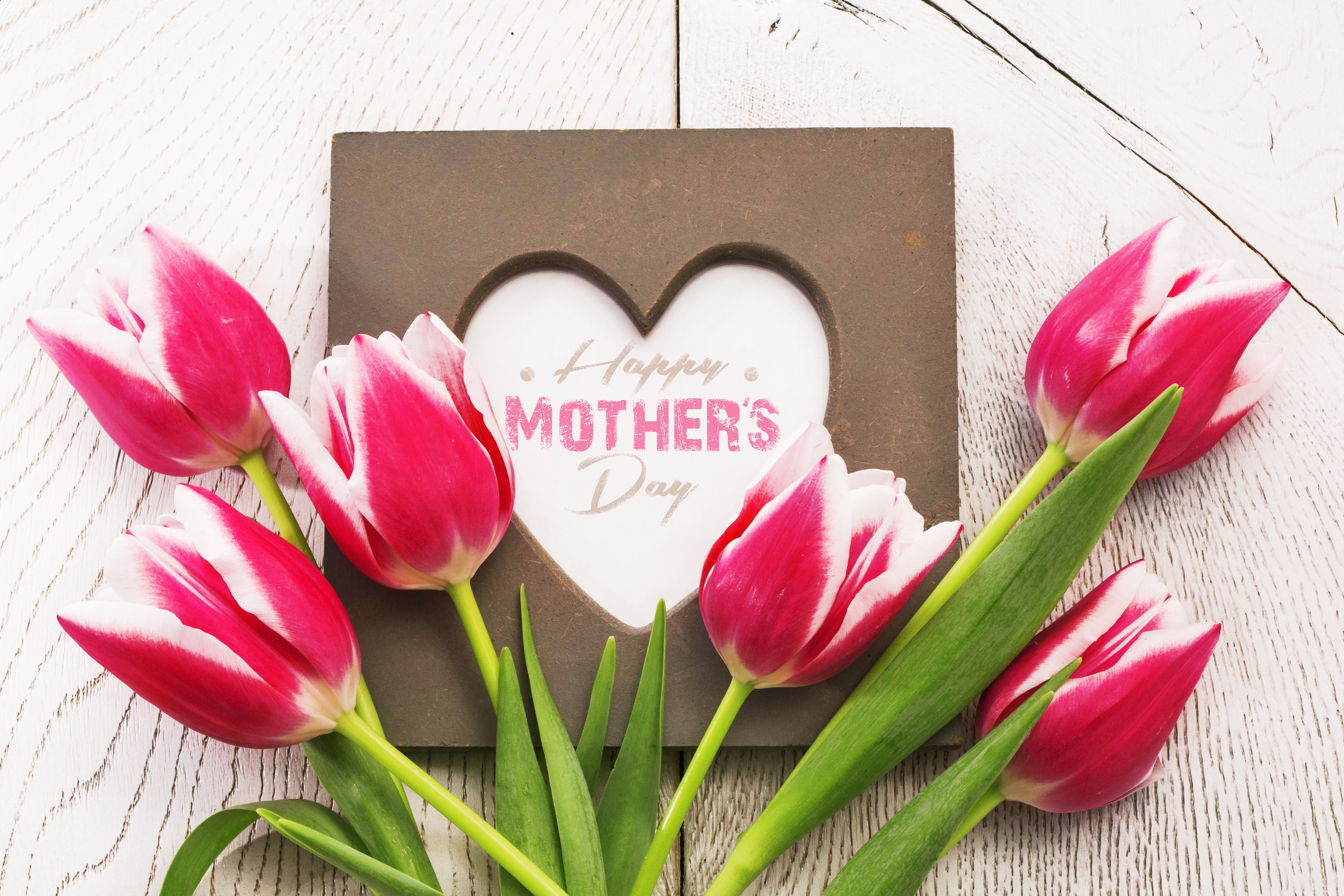 Download mobile wallpaper Flower, Holiday, Tulip, Pink Flower, Mother's Day for free.