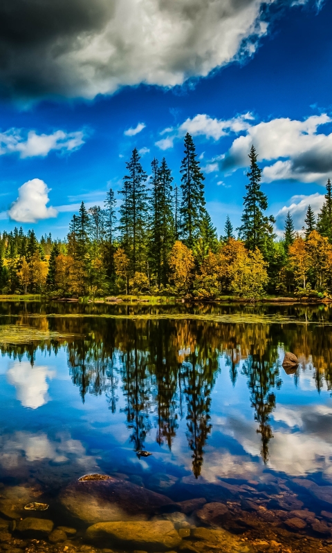 Download mobile wallpaper Nature, Sky, Lake, Reflection, Forest, Earth, Cloud, Scenic for free.