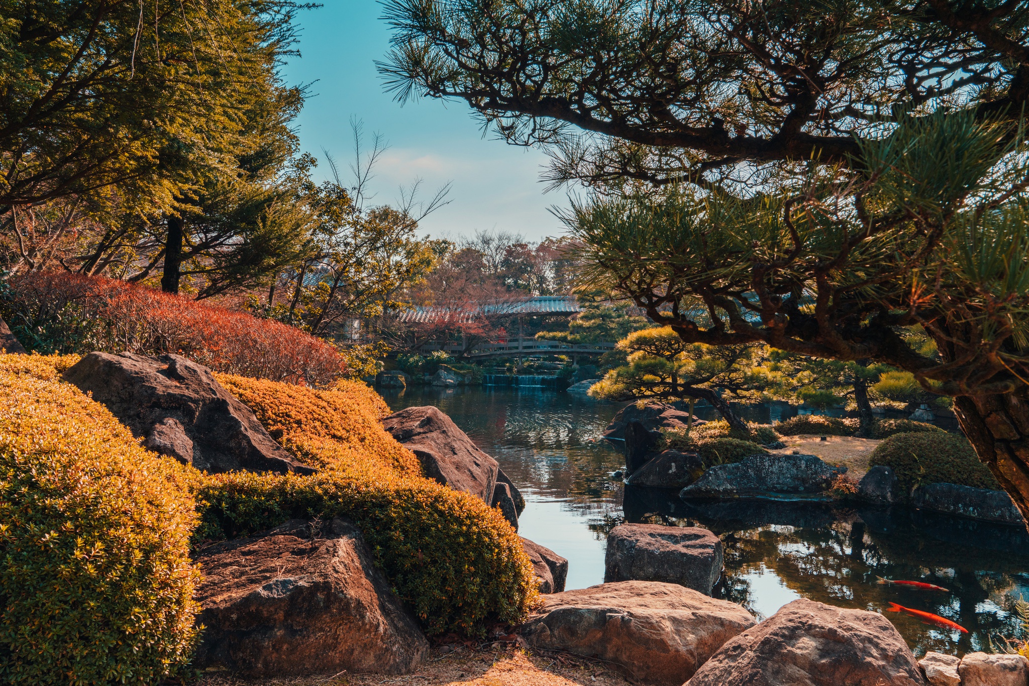 Descarga gratuita de fondo de pantalla para móvil de Naturaleza, Parque, Estanque, Fotografía.