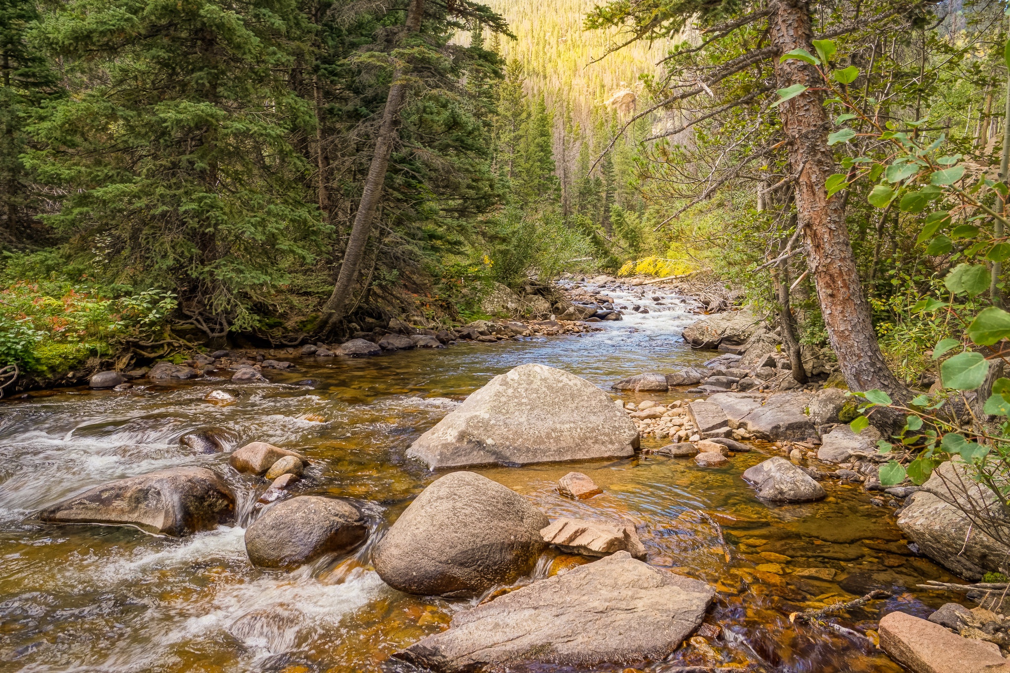 Descarga gratis la imagen Naturaleza, Bosque, Chorro, Tierra/naturaleza en el escritorio de tu PC