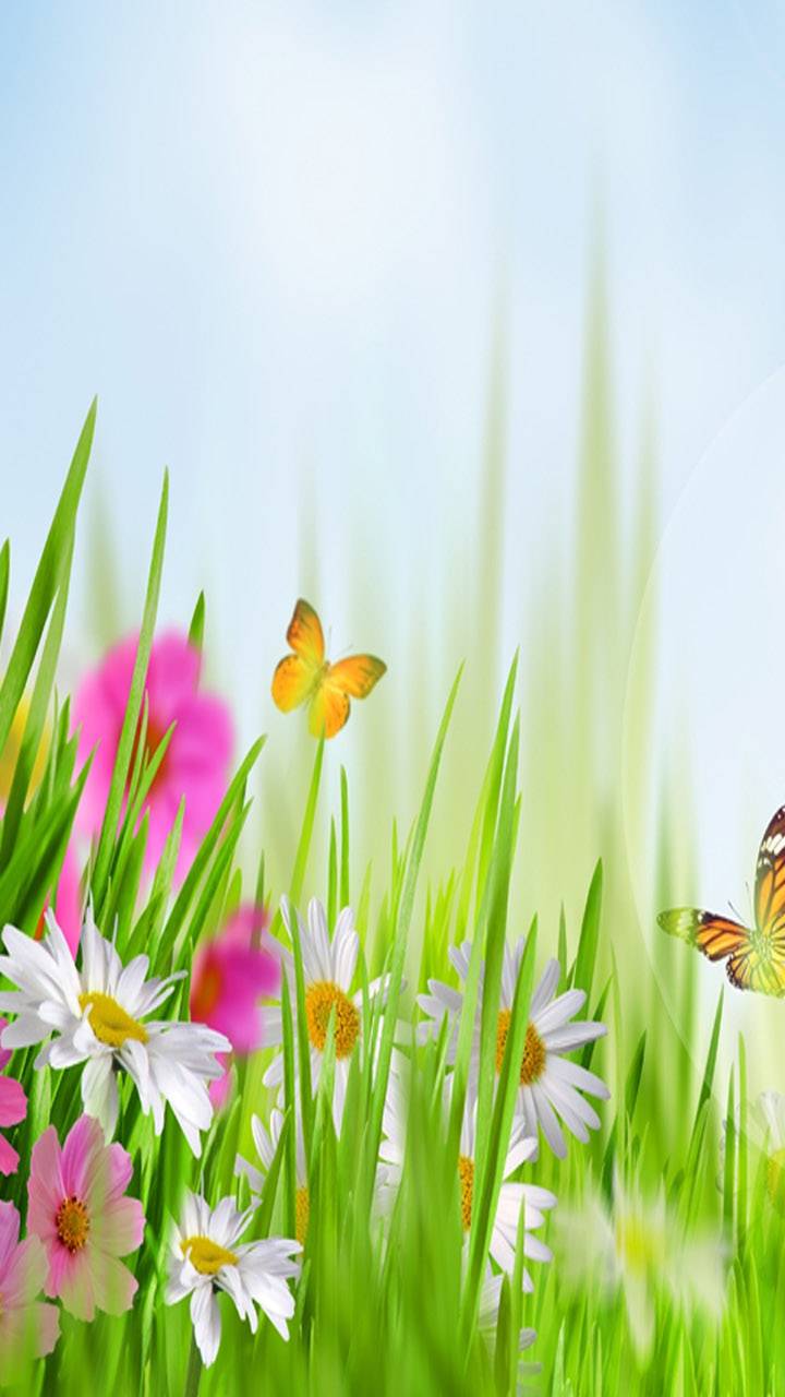 Download mobile wallpaper Grass, Flower, Butterfly, Spring, Artistic for free.