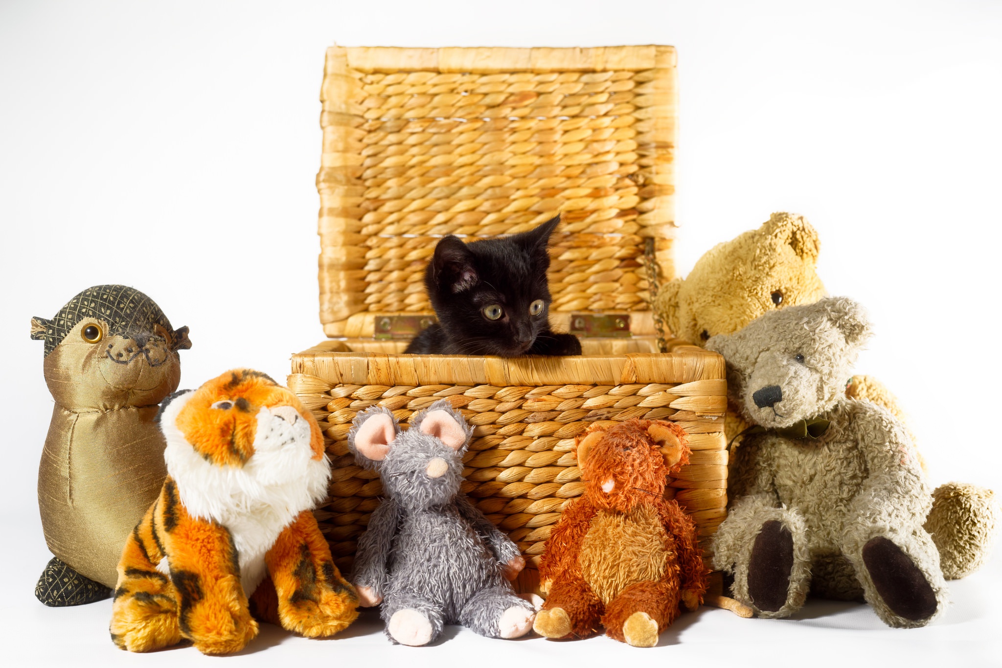 Laden Sie das Tiere, Katzen, Katze, Kätzchen, Korb, Tierbaby, Kuscheltier-Bild kostenlos auf Ihren PC-Desktop herunter