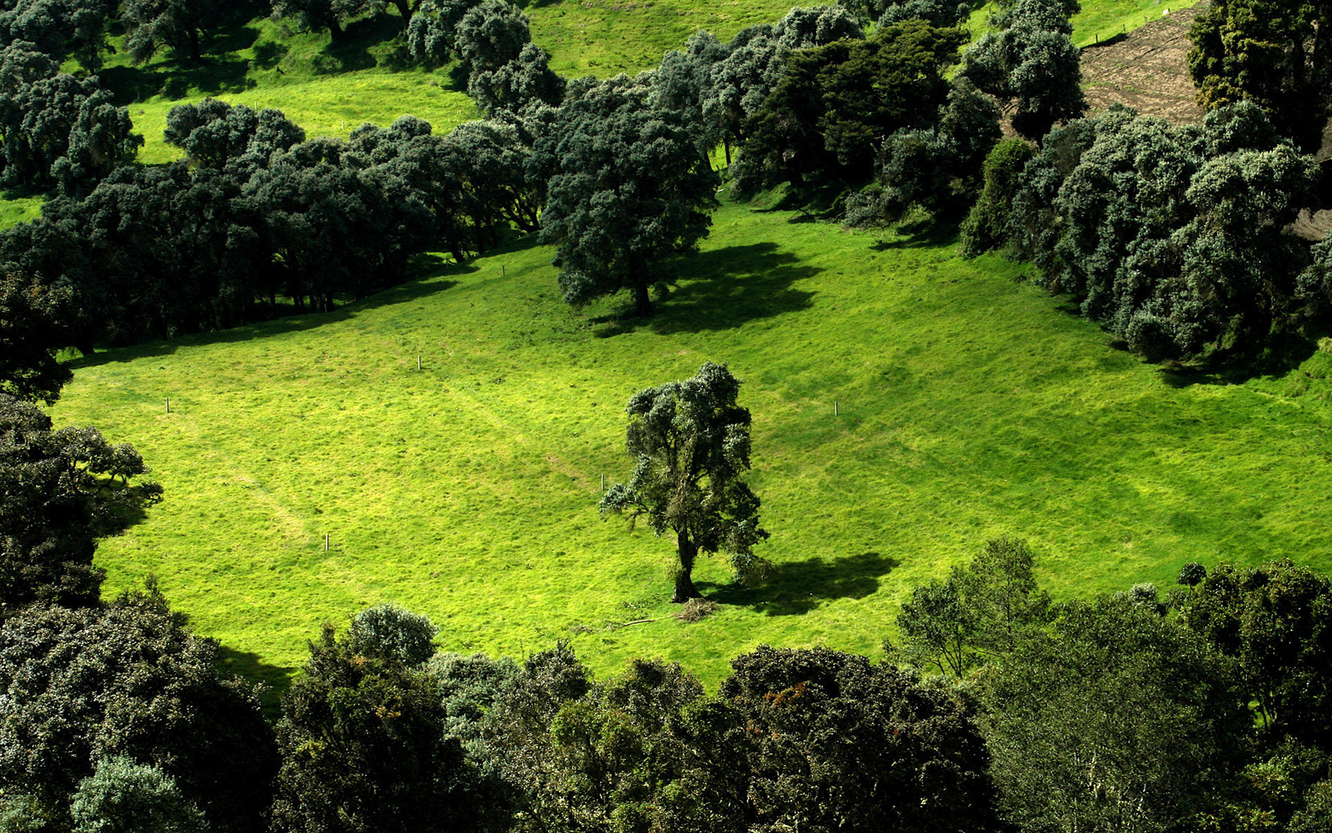 Laden Sie das Landschaft, Bäume, Pflanzen-Bild kostenlos auf Ihren PC-Desktop herunter