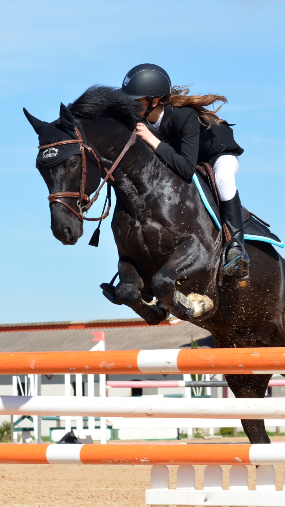 show jumping, sports, people, jump, sport, equestrian, horse