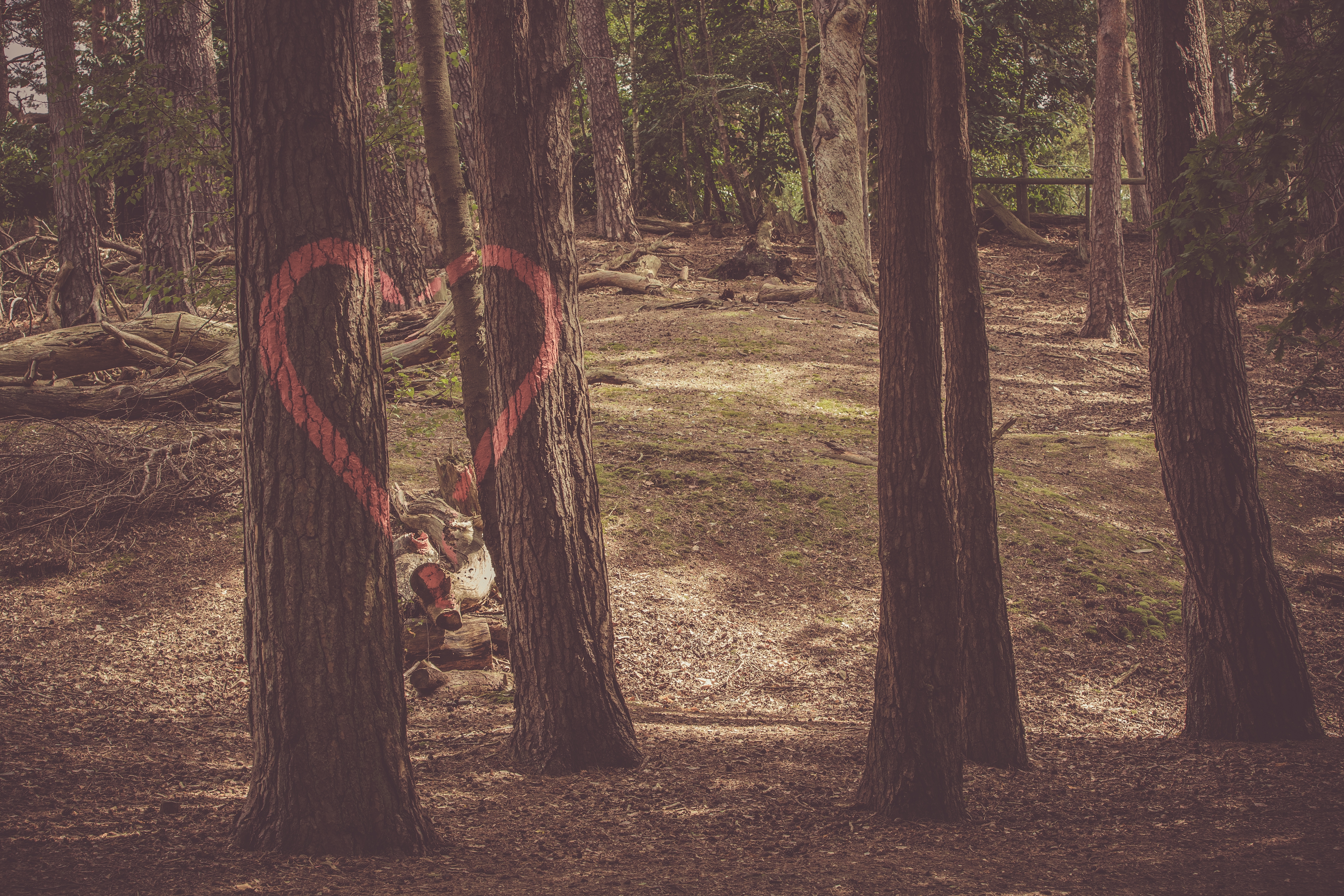 Download mobile wallpaper Paint, Trees, Nature, Heart, Romance for free.