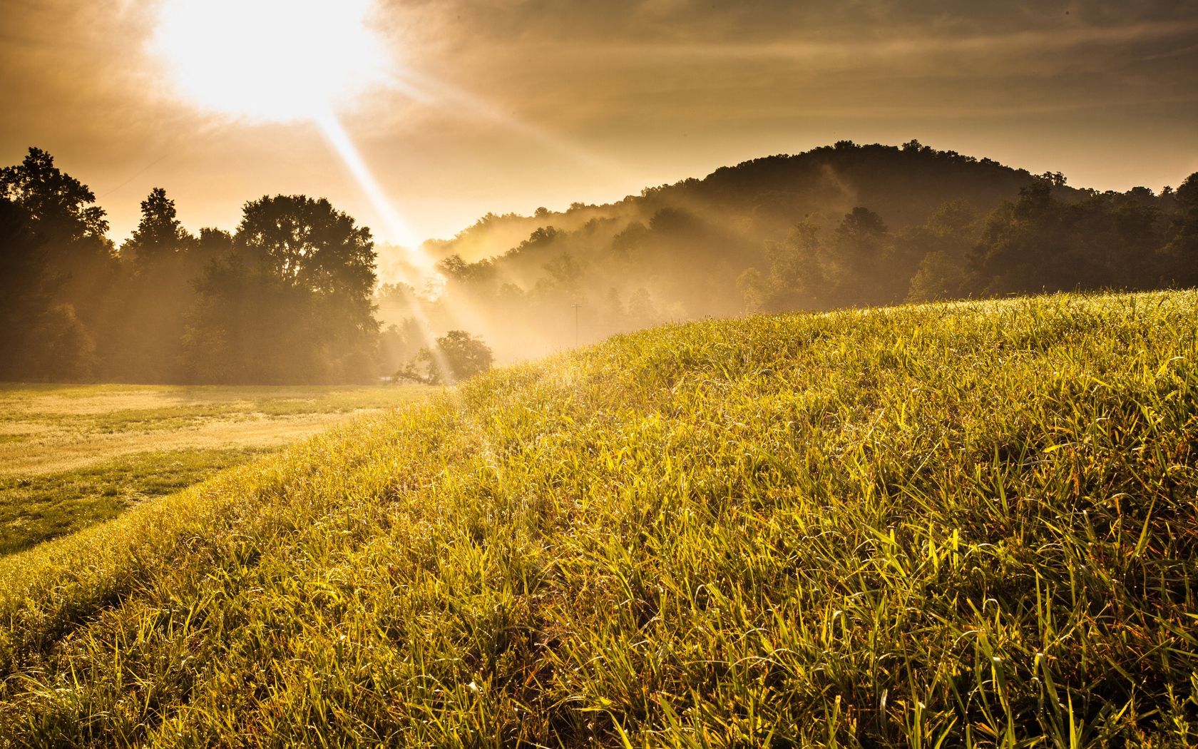 Free download wallpaper Nature, Sun, Shine, Rays, Beams, Slope, Landscape, Light, Meadow on your PC desktop