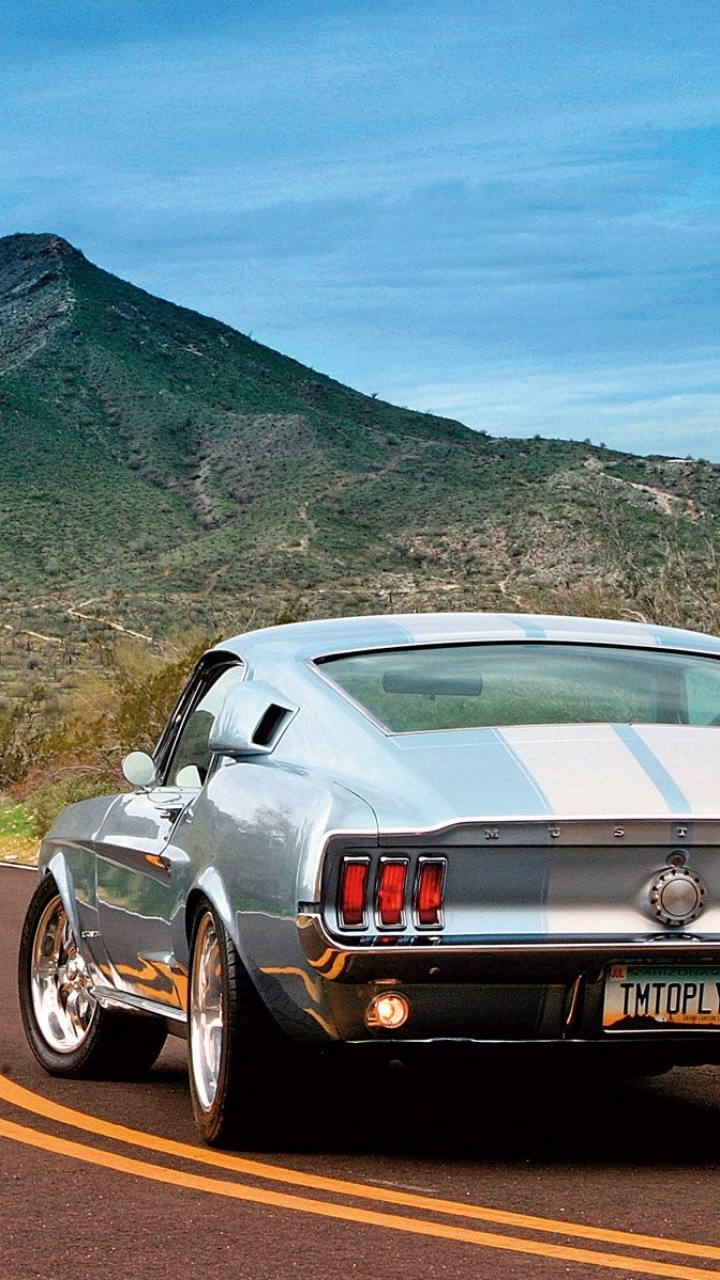 shelby gt500, vehicles, ford