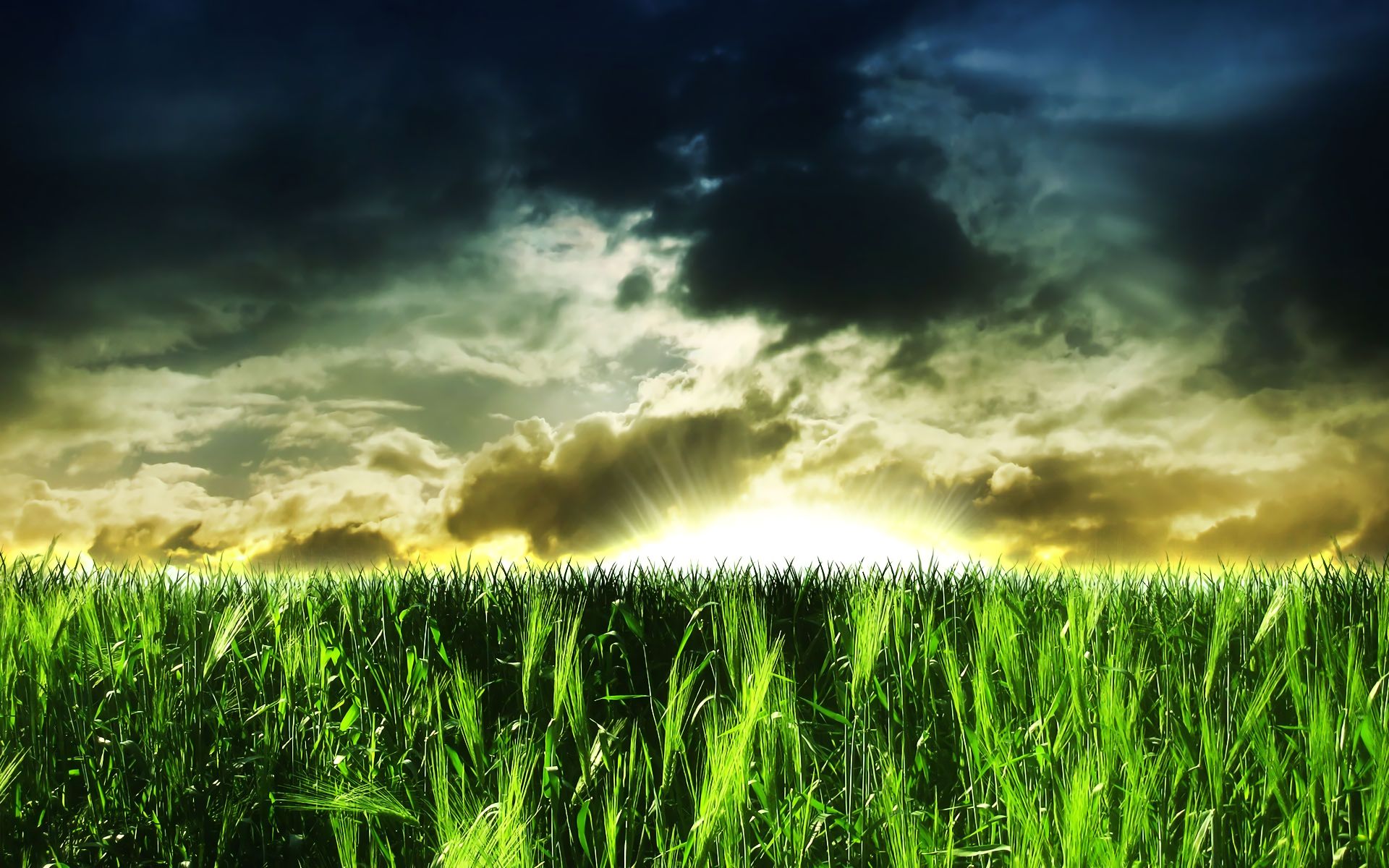 Download mobile wallpaper Grass, Sky, Earth, Field, Cloud for free.
