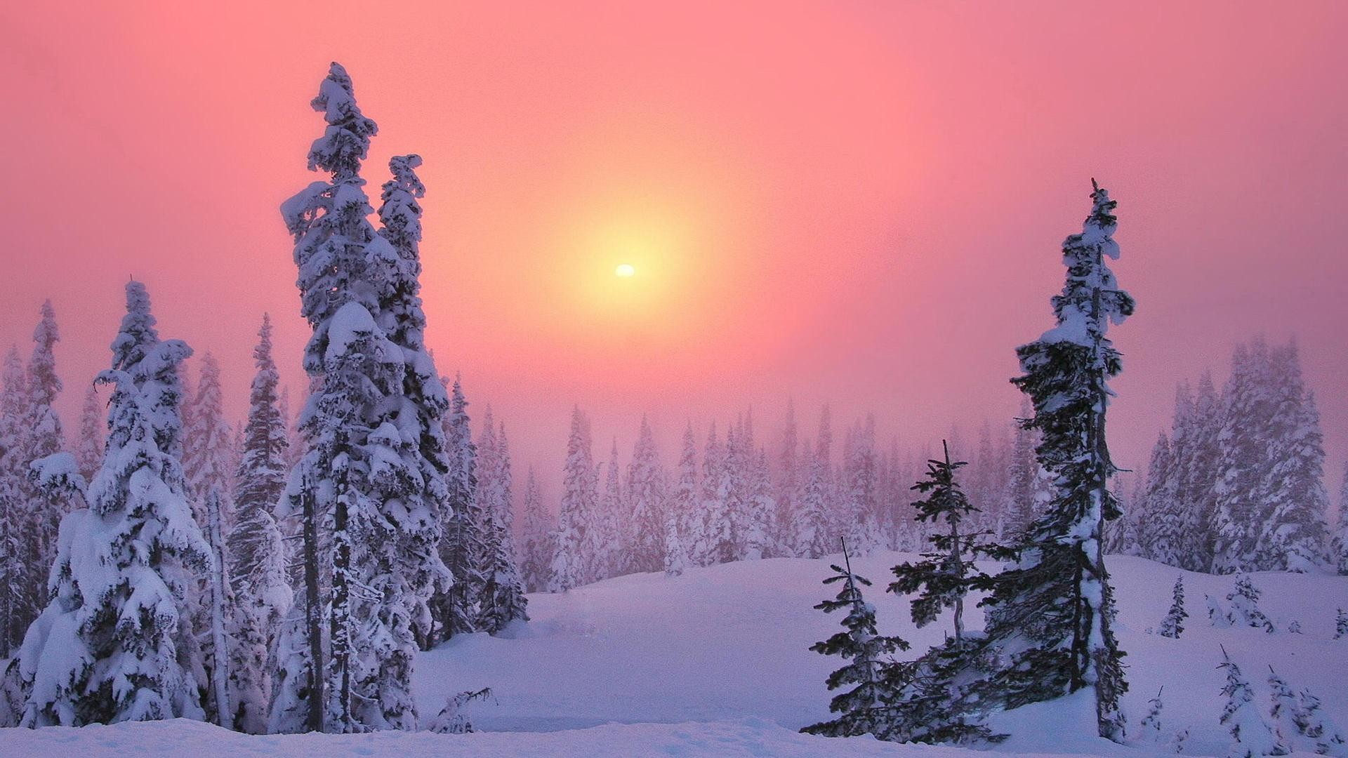 Скачать картинку Зима, Снег, Лес, Дерево, Земля/природа, Закат Солнца в телефон бесплатно.