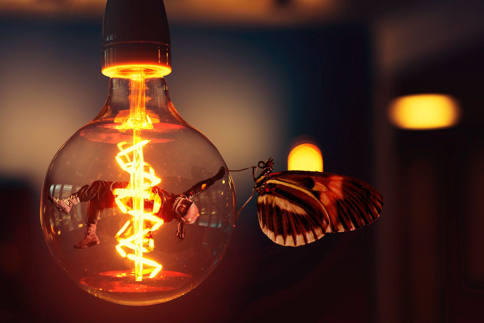 Free download wallpaper Light, Butterfly, Photography, Manipulation on your PC desktop
