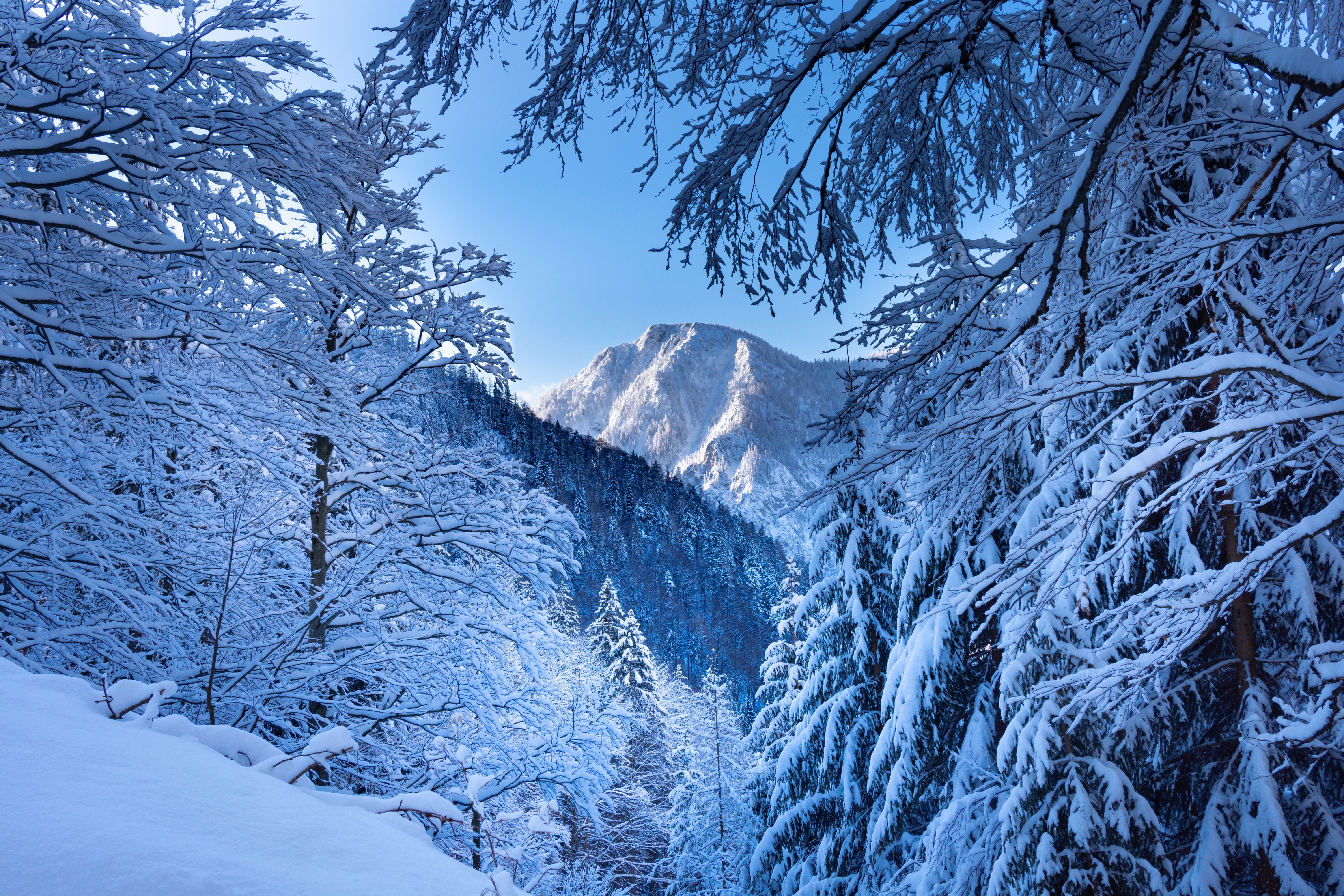 Download mobile wallpaper Winter, Snow, Mountain, Austria, Alps, Earth for free.