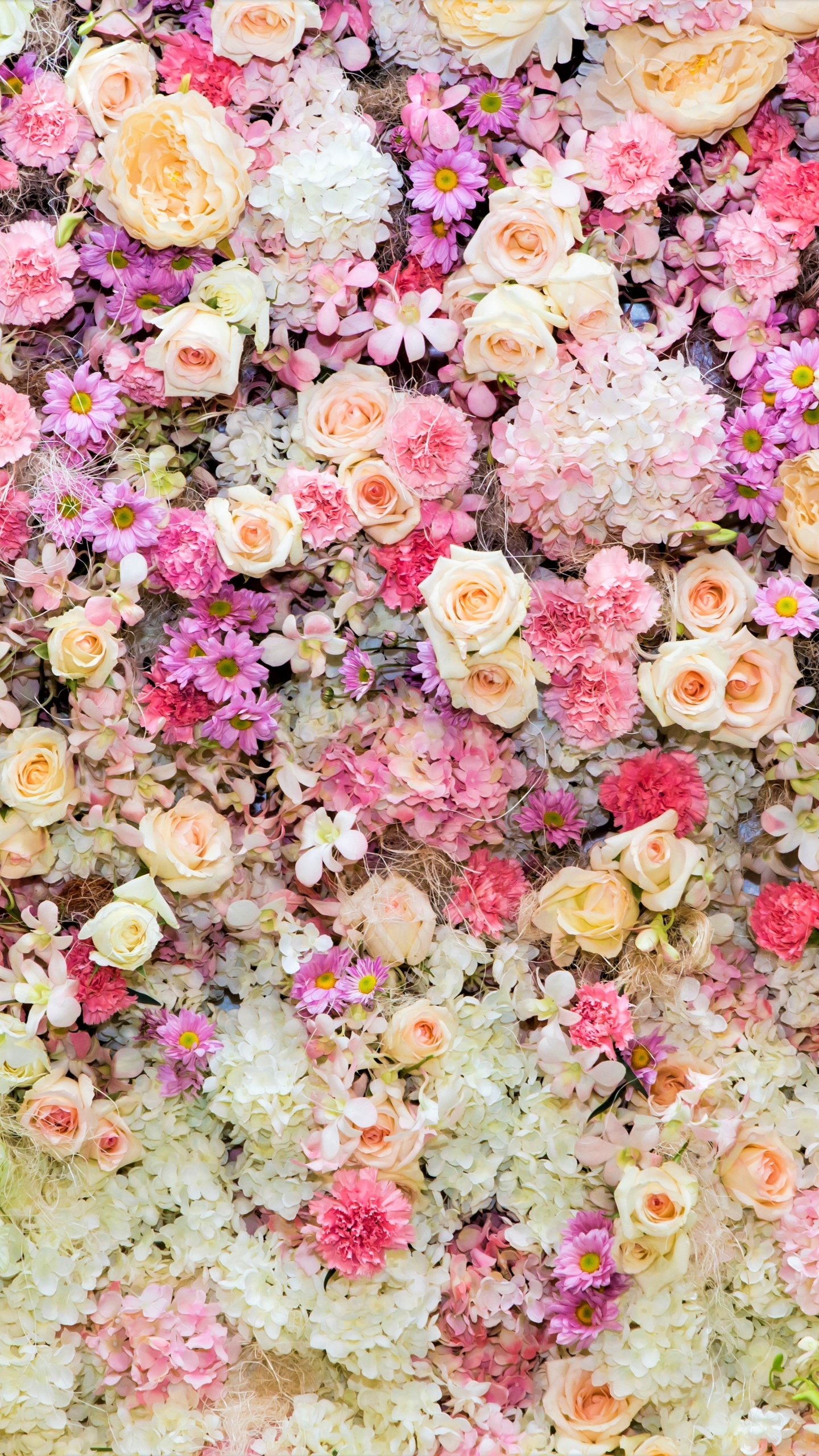 Скачати мобільні шпалери Квітка, Роза, Земля, Барвистий, Півонія, Пастель, Біла Квітка, Фіолетова Квітка, Рожева Квітка, Дейзі, Флауерзи безкоштовно.