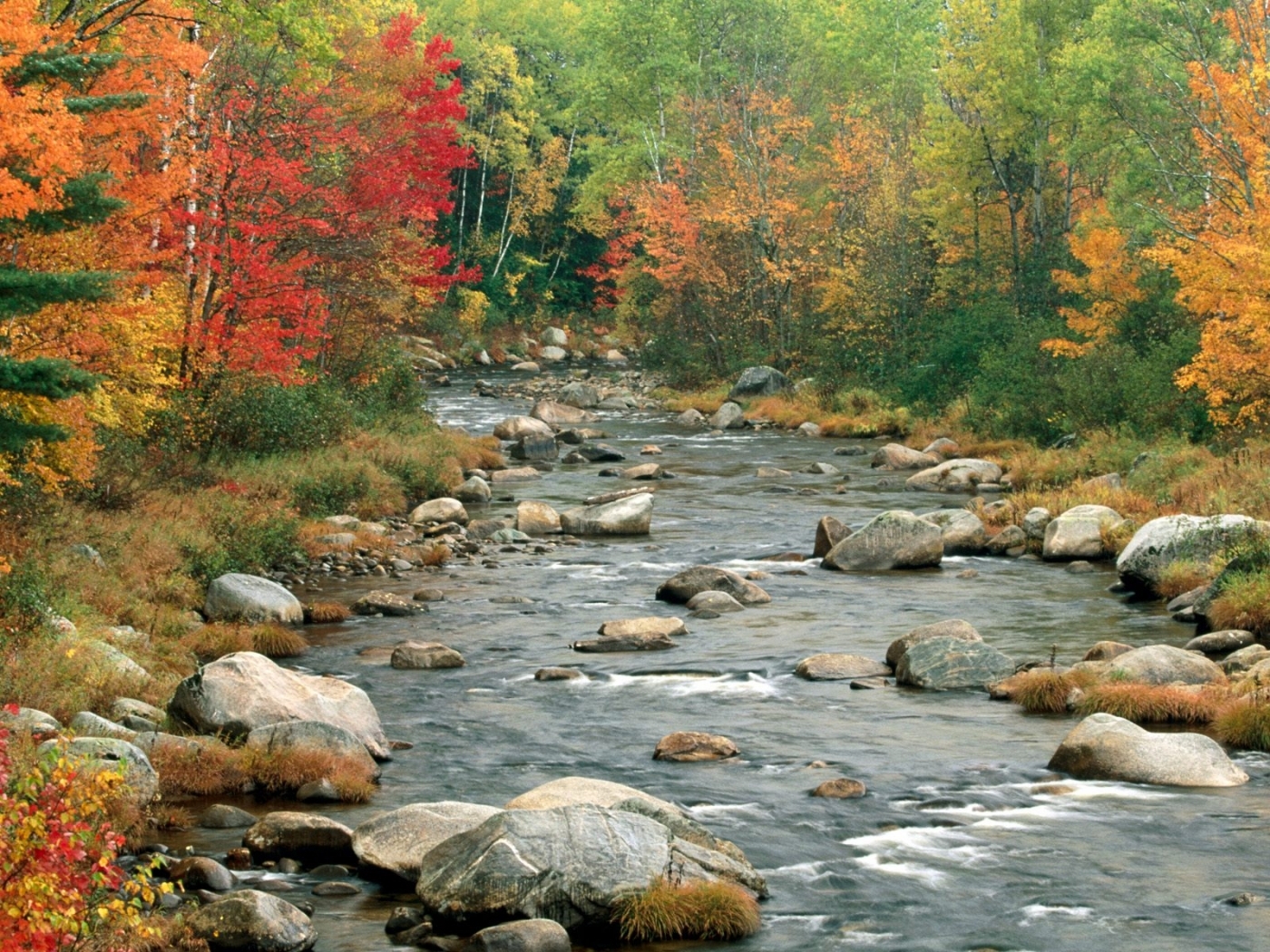 Free download wallpaper Landscape, Rivers, Trees, Stones on your PC desktop