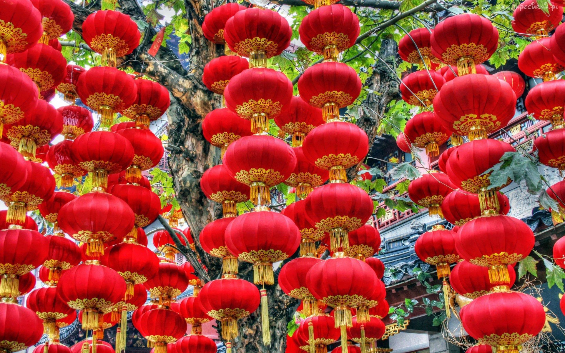 holidays, registration, new year, typography, decoration, new year chinese lanterns, new year's chinese lanterns cellphone