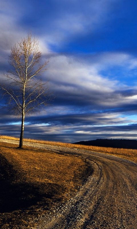 Download mobile wallpaper Landscape, Nature, Road, Tree, Hill, Photography, Countryside for free.