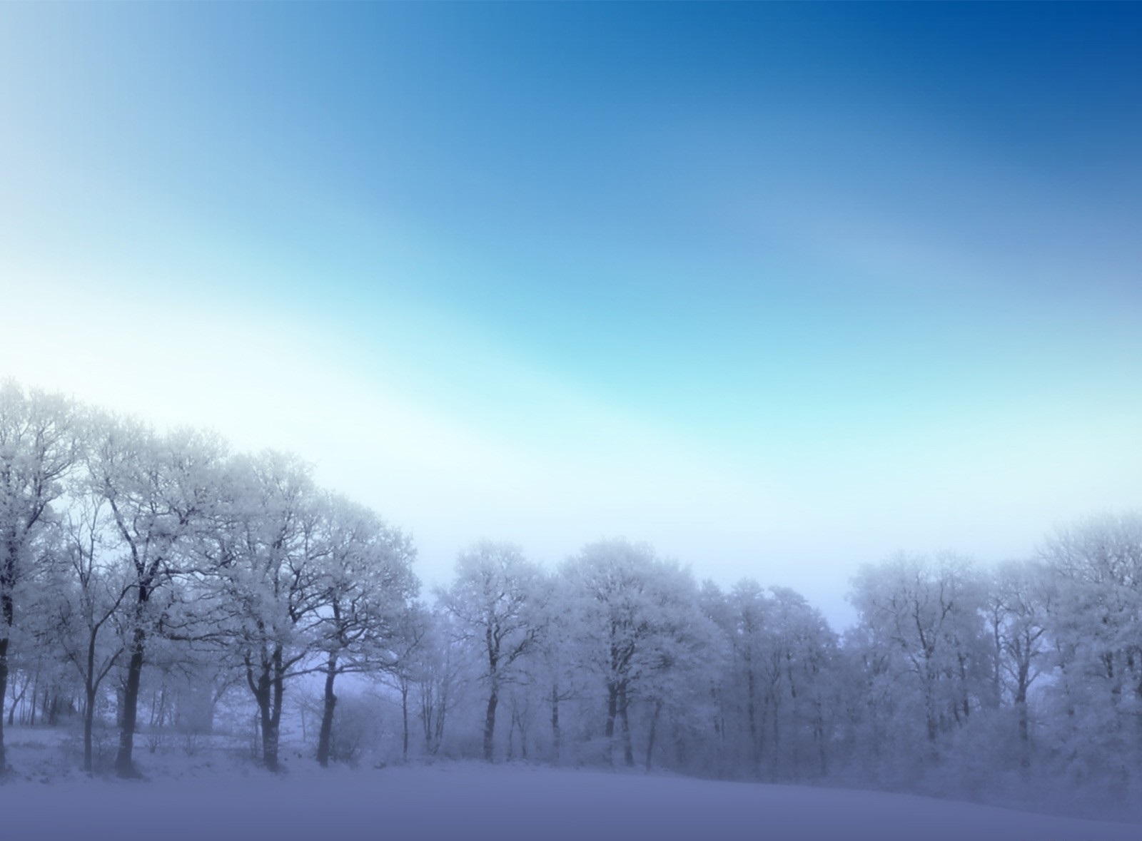 Download mobile wallpaper Winter, Nature, Snow, Tree, Earth, Frozen for free.