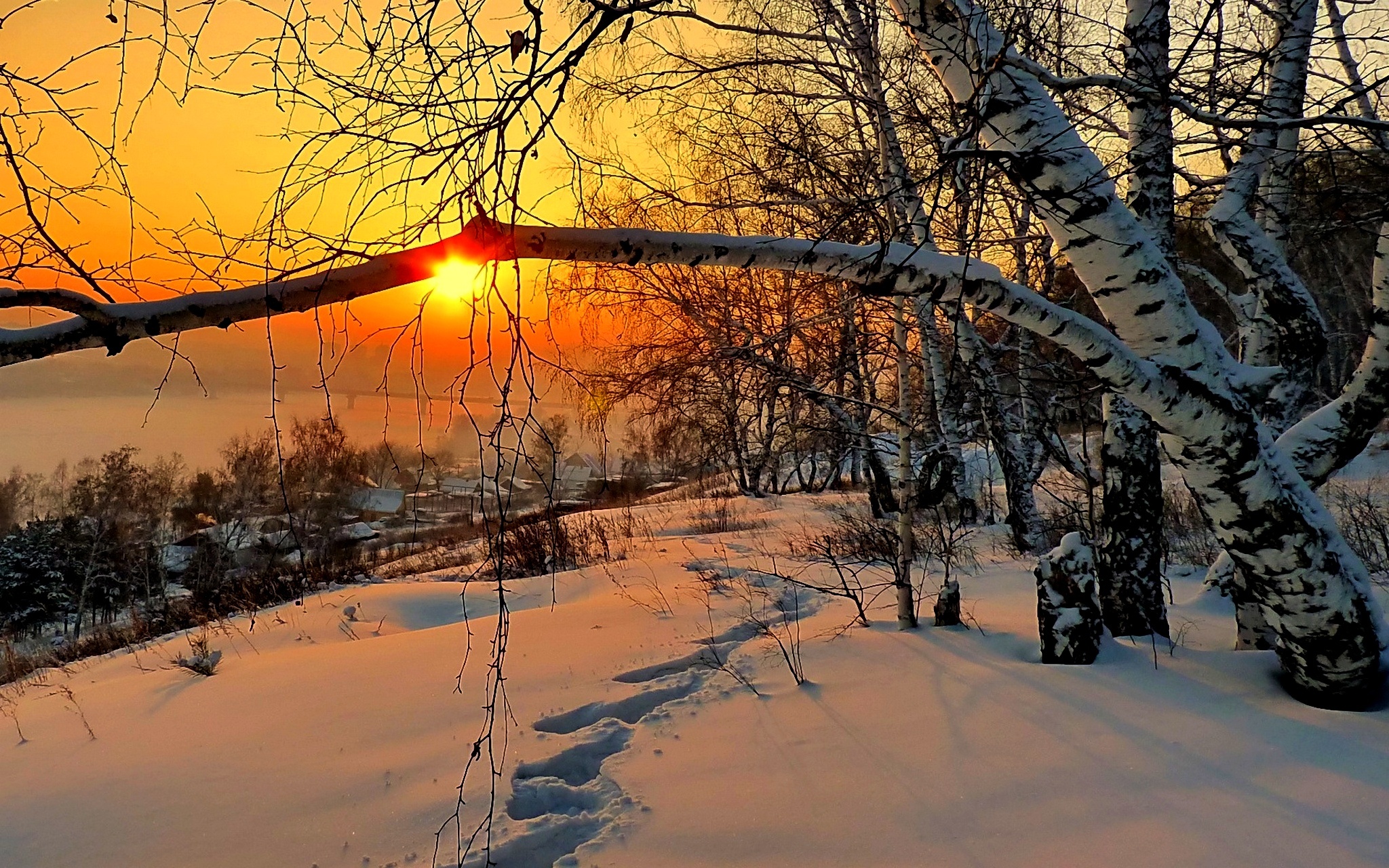 Free download wallpaper Winter, Sunset, Snow, Tree, Earth, Photography on your PC desktop