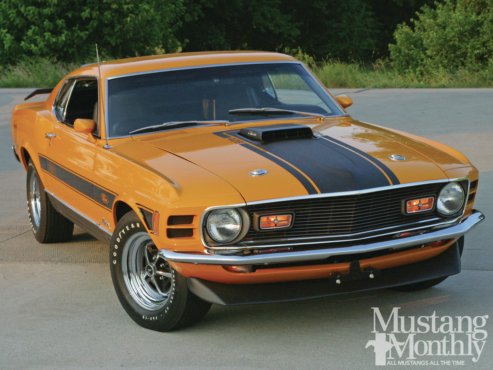 vehicles, ford mustang boss 429, fastback, ford mustang, muscle car, orange car, ford