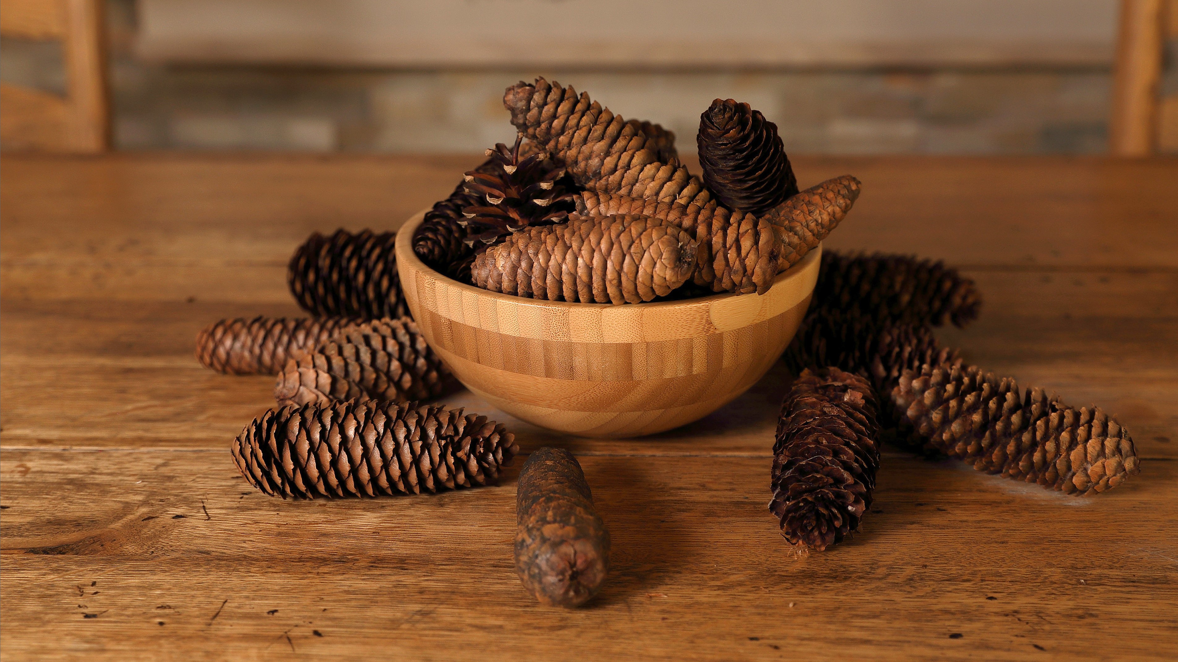 Free download wallpaper Still Life, Photography, Pine Cone on your PC desktop