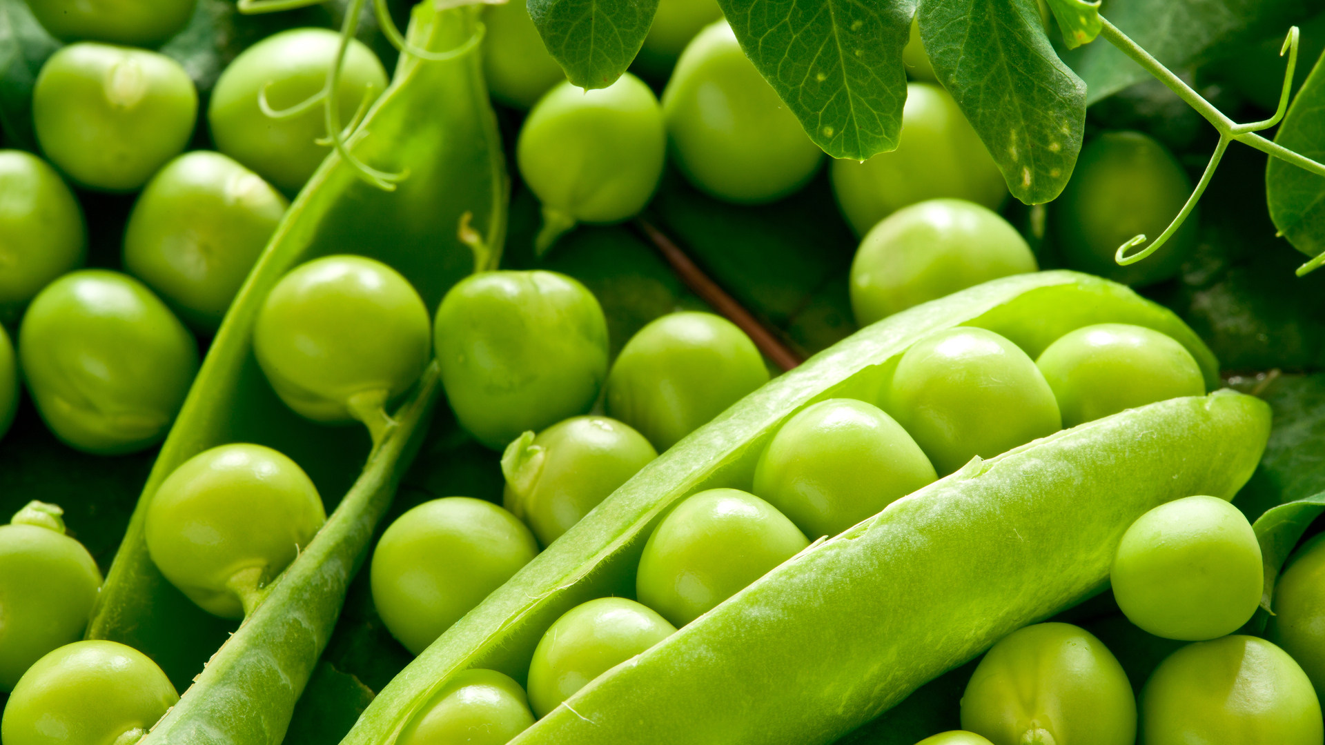 Laden Sie das Lebensmittel, Gemüse, Pflanzen-Bild kostenlos auf Ihren PC-Desktop herunter