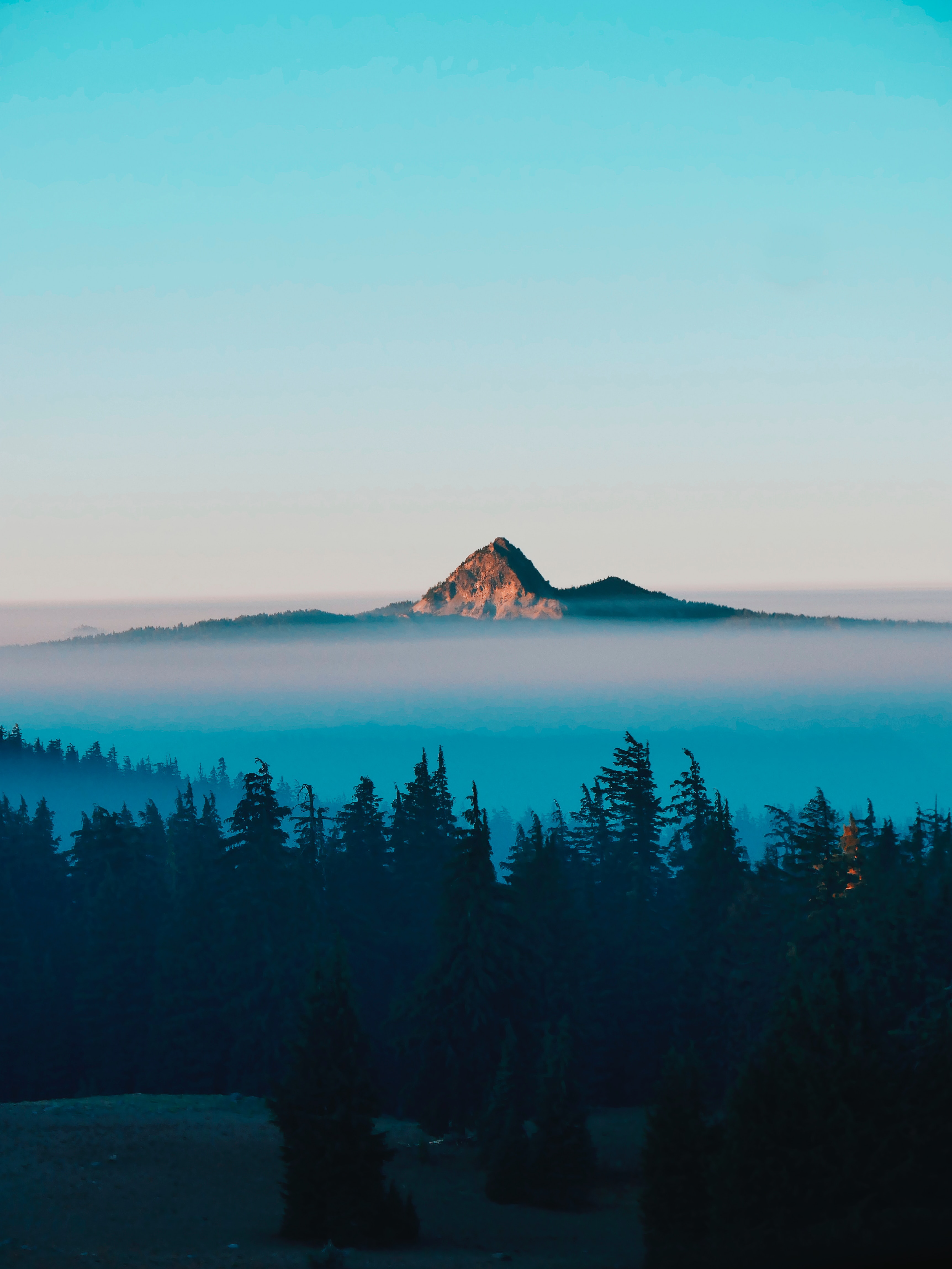 Скачать обои бесплатно Вершина, Гора, Туман, Деревья, Природа, Пейзаж картинка на рабочий стол ПК