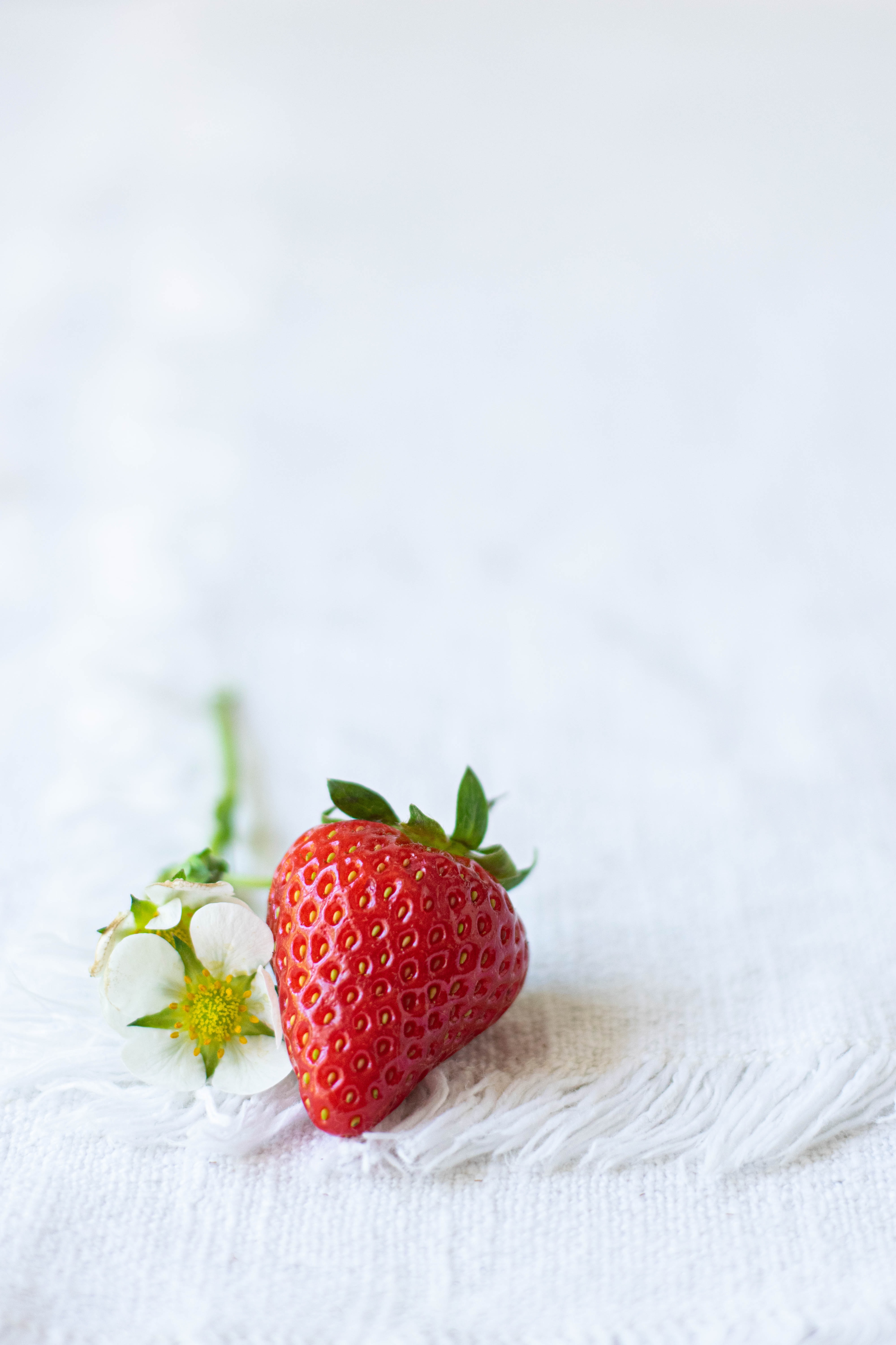 flowers, food, strawberry, cloth, berry