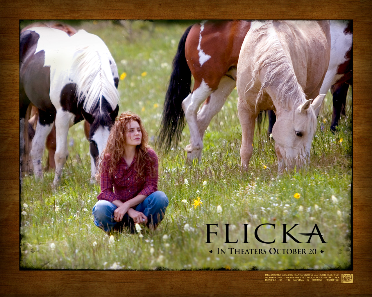 Laden Sie Flicka HD-Desktop-Hintergründe herunter