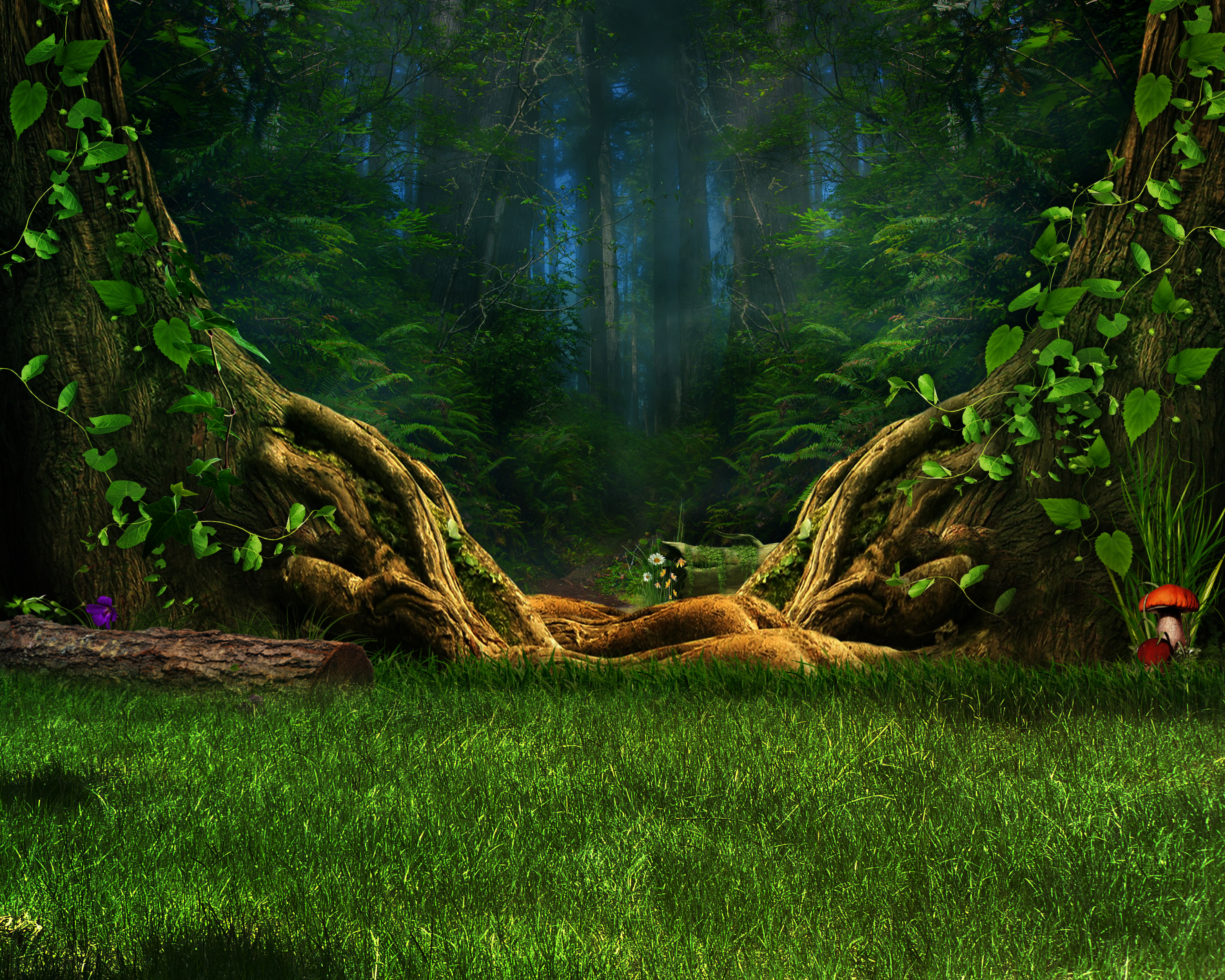 Free download wallpaper Grass, Forest, Tree, Leaf, Artistic on your PC desktop