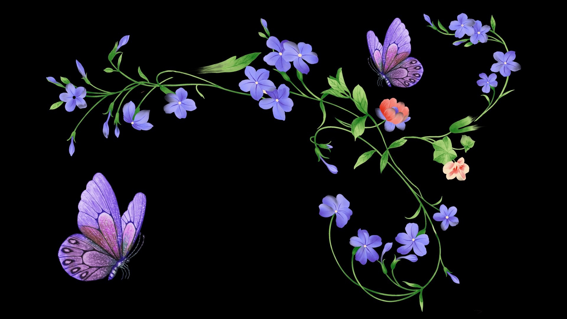 Скачать обои бесплатно Цветок, Бабочка, Листва, Цветочный, Пурпурный, Художественные картинка на рабочий стол ПК