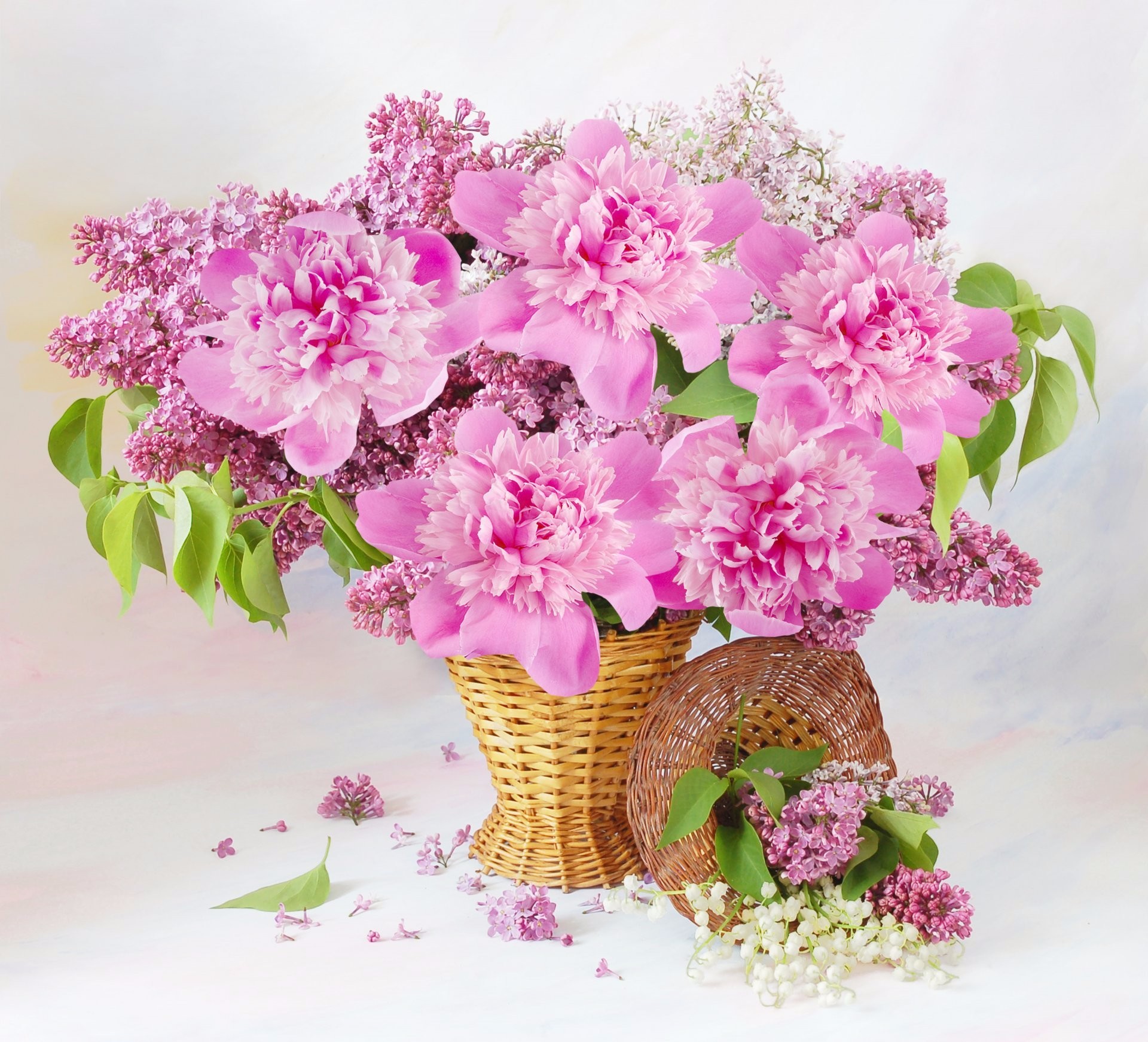 Téléchargez gratuitement l'image Fleur, Photographie, Corbeille, Fleur Rose, Nature Morte, Lila sur le bureau de votre PC