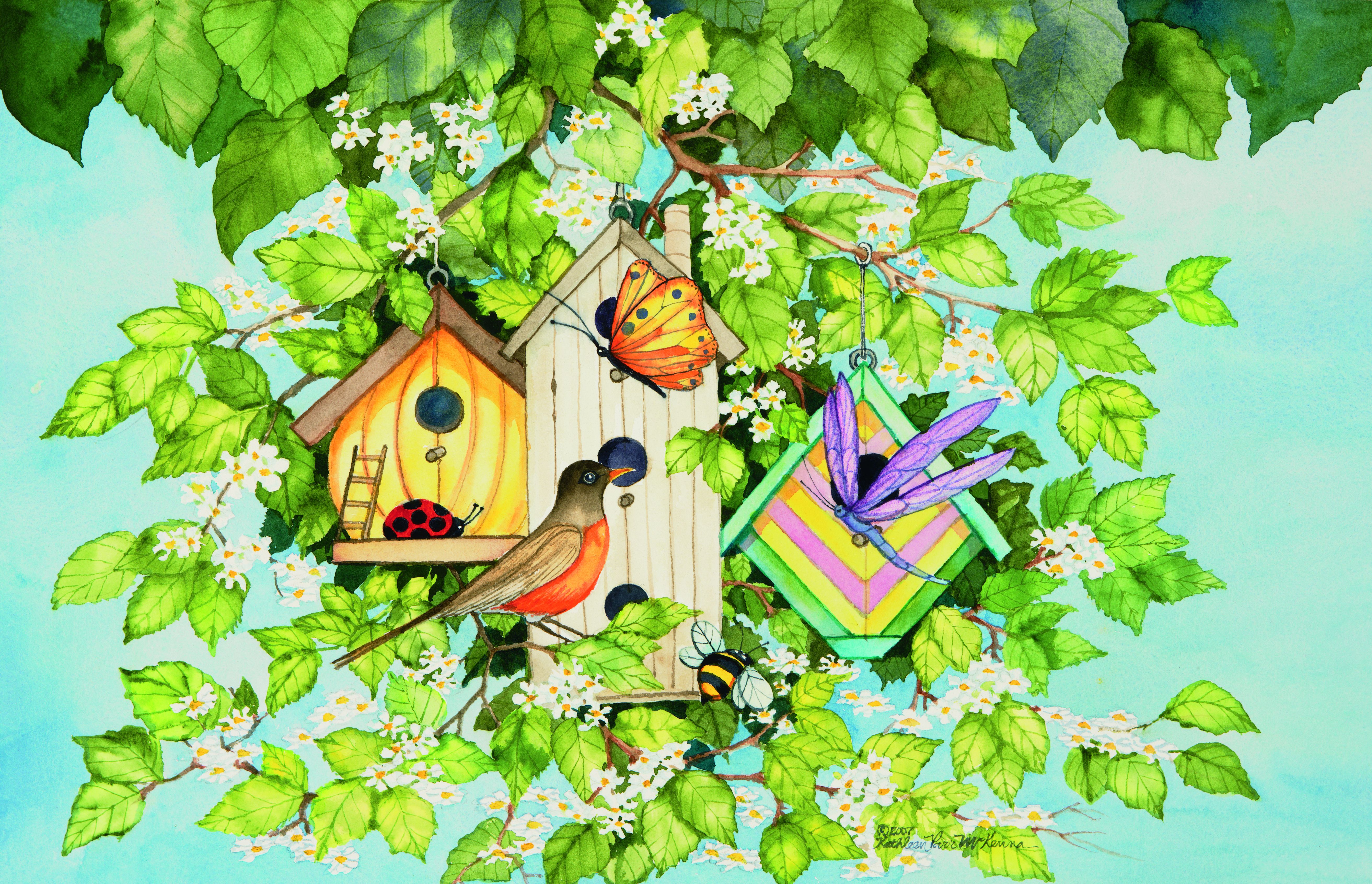 Free download wallpaper Birds, Animal, Robin on your PC desktop