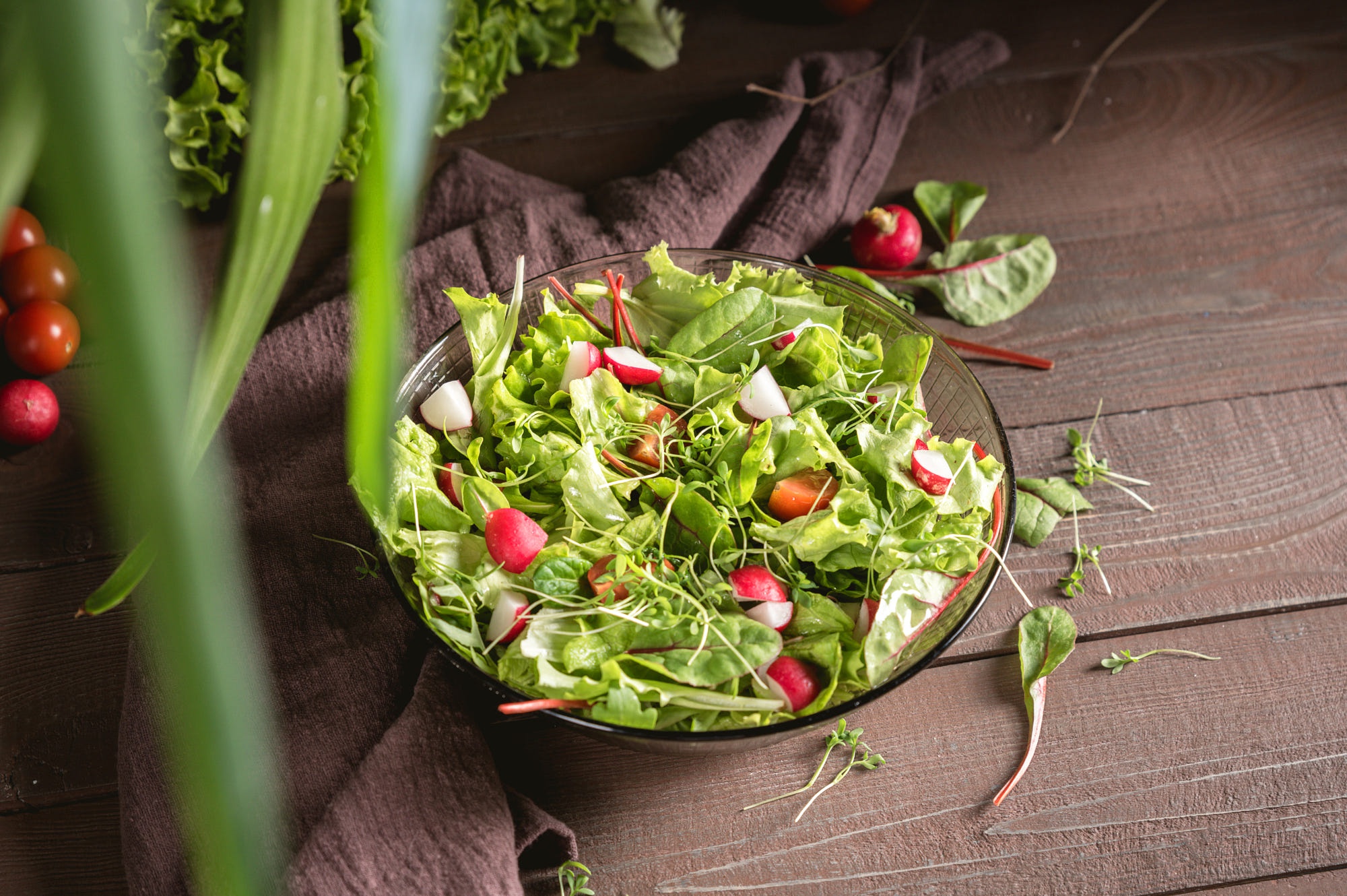 Download mobile wallpaper Food, Salad for free.