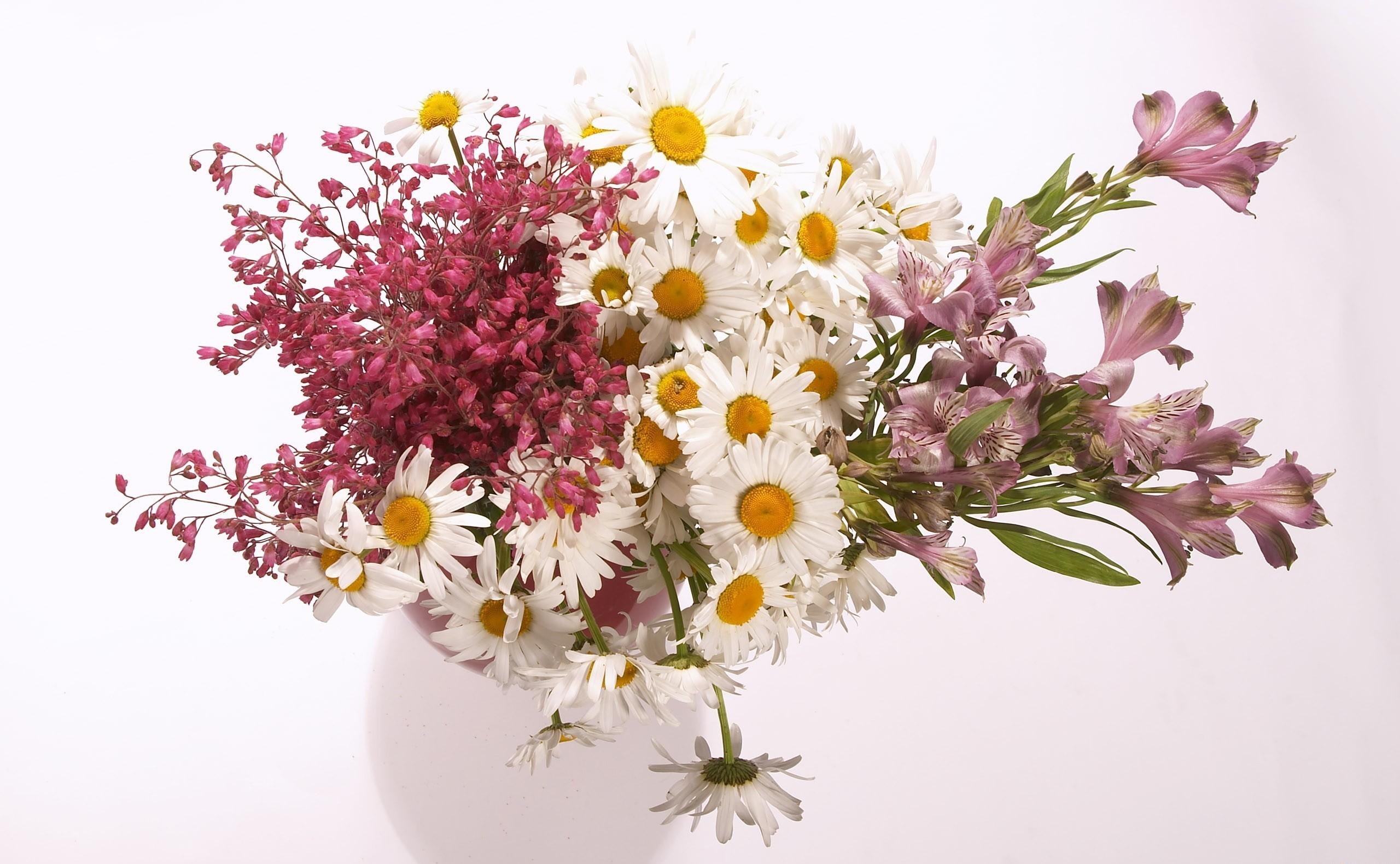 91084 télécharger l'image fleurs, camomille, alstroemeria, bouquet, vase, composition - fonds d'écran et économiseurs d'écran gratuits