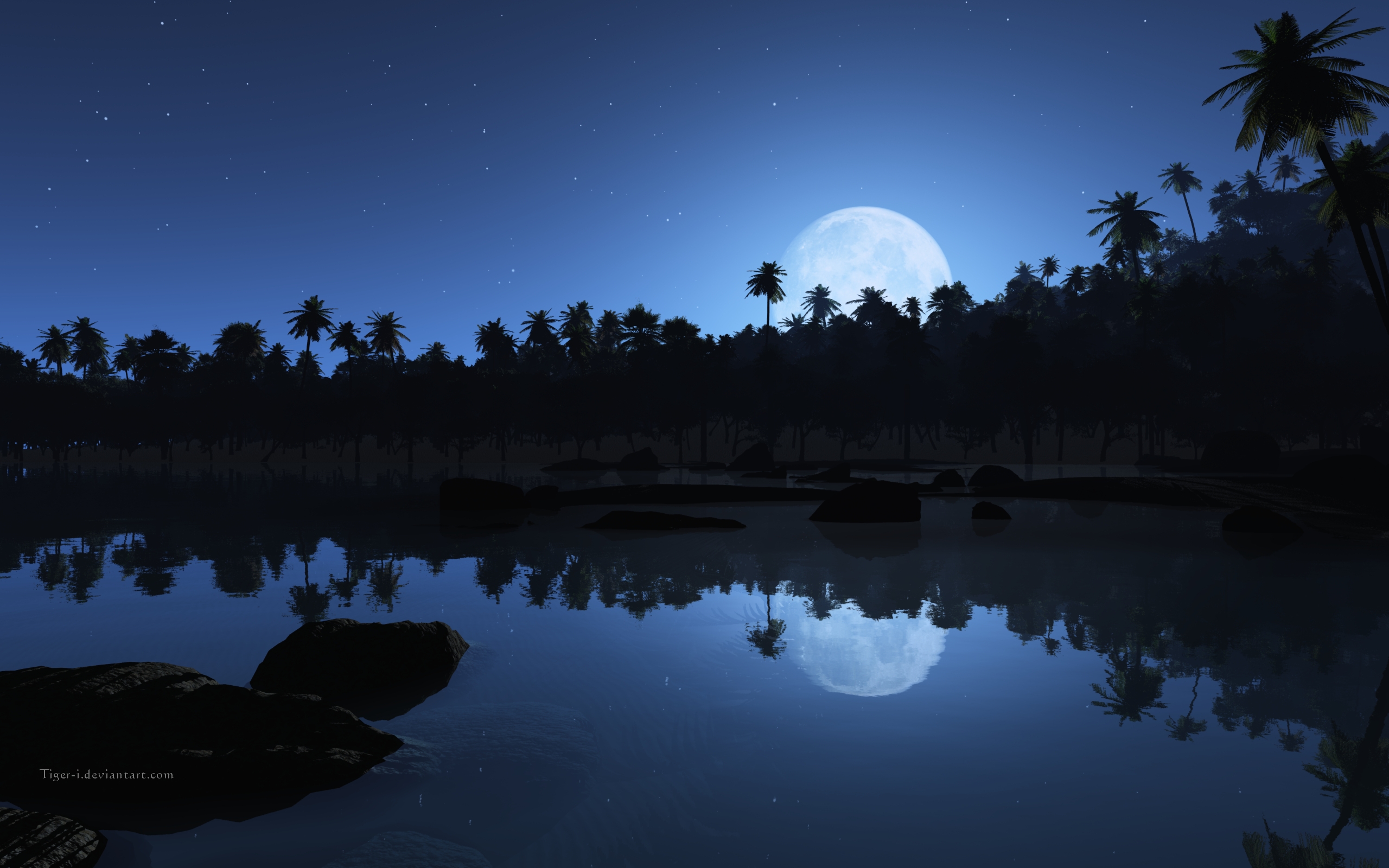 shore, earth, beach, blue, night, palm tree, tropical 1080p
