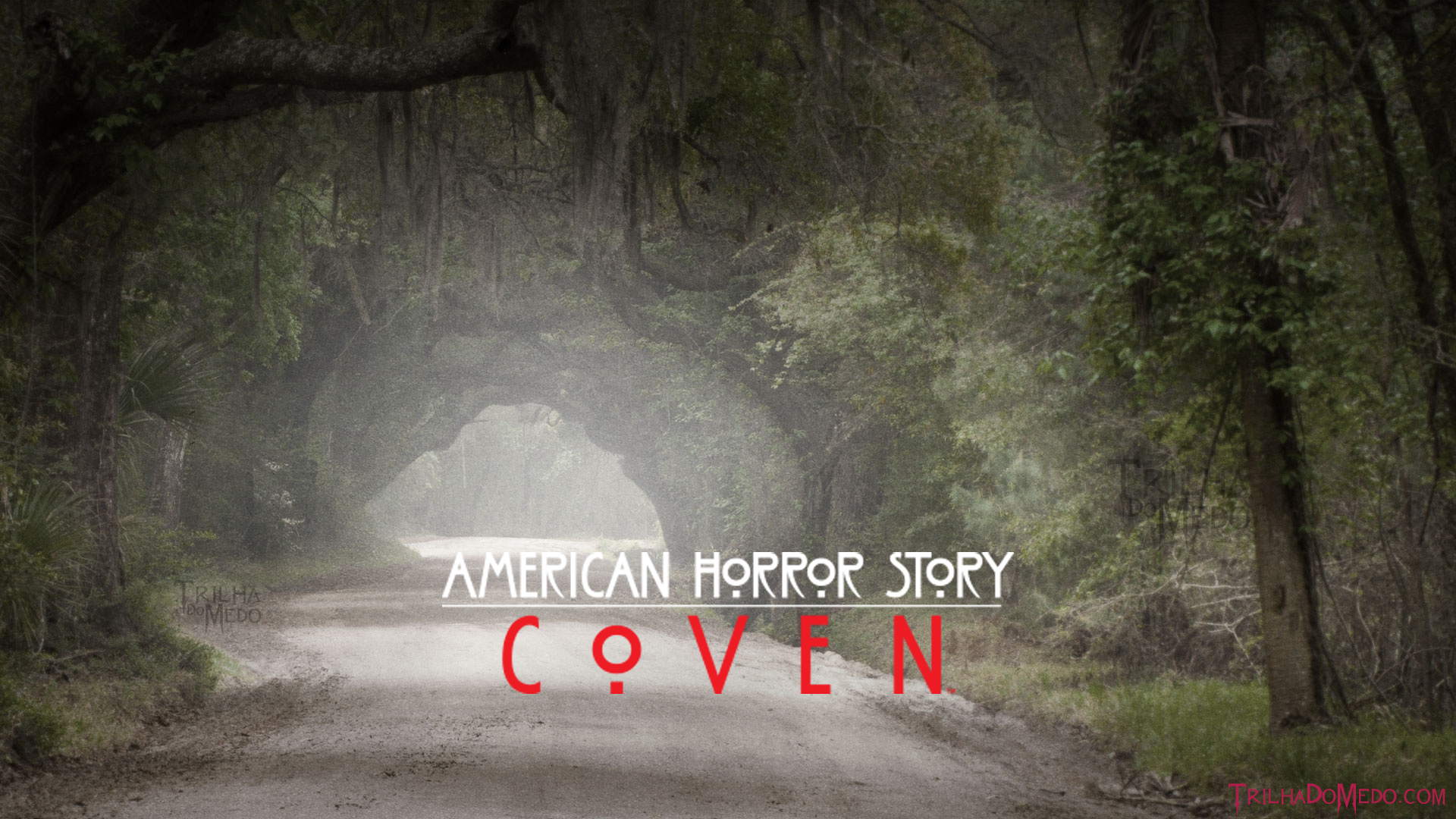 Download mobile wallpaper Tv Show, American Horror Story: Coven for free.