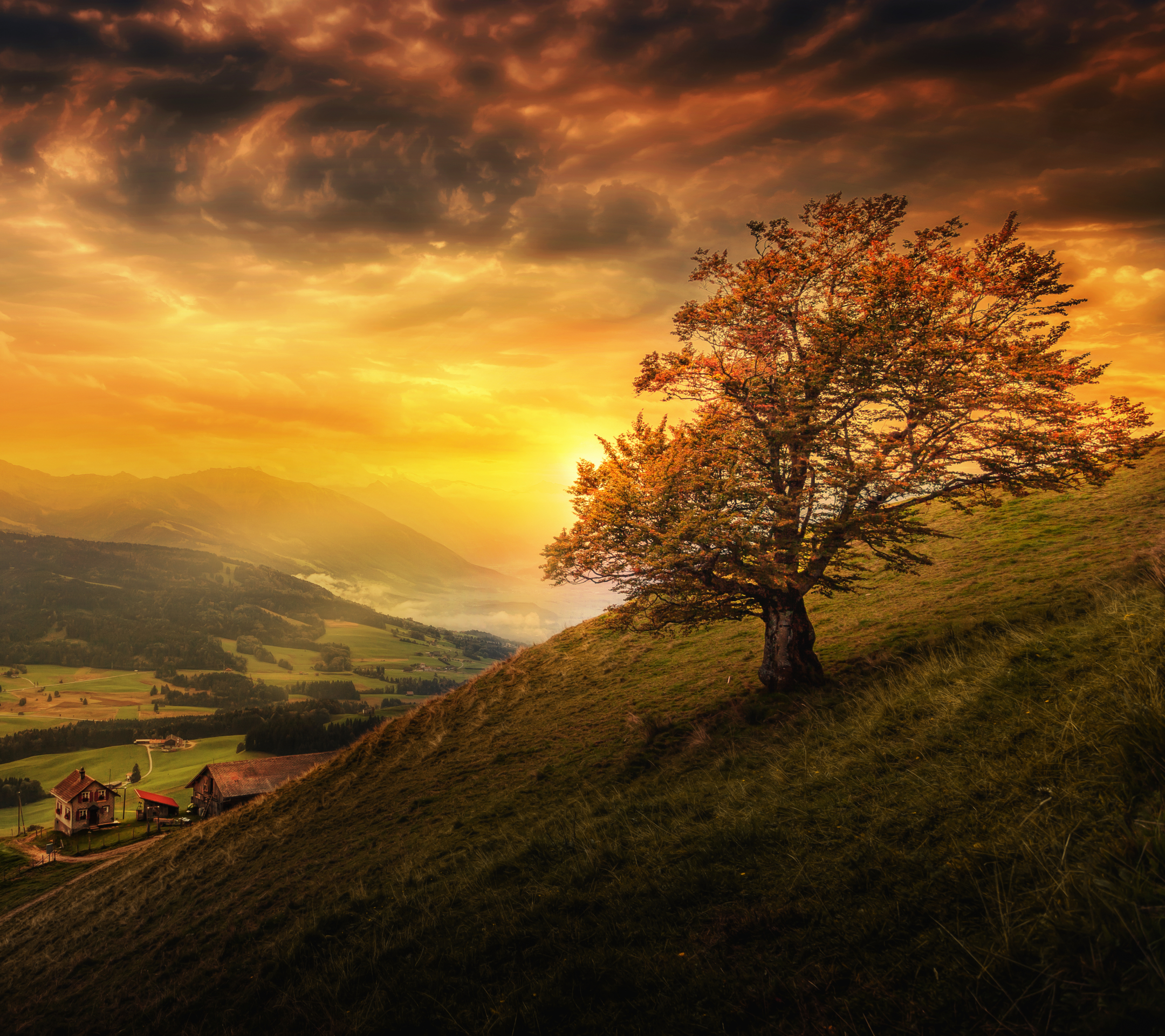Free download wallpaper Landscape, Sunset, Tree, Evening, Switzerland, Hill, Valley, Cloud, Photography, Lonely Tree on your PC desktop
