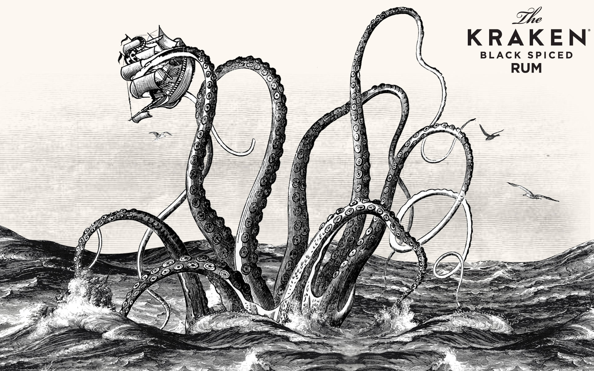 Die besten Kraken Rum-Hintergründe für den Telefonbildschirm