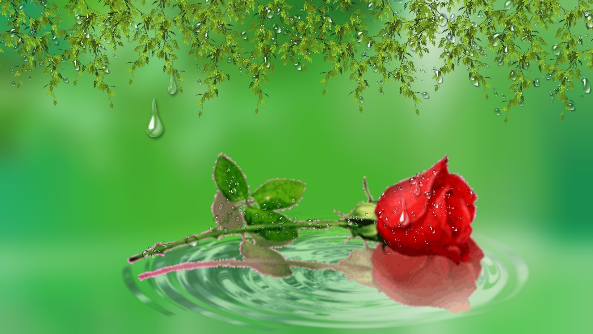 478790 скачать картинку вода, флауэрсы, роза, художественные, цветок, отражение, пульсация - обои и заставки бесплатно