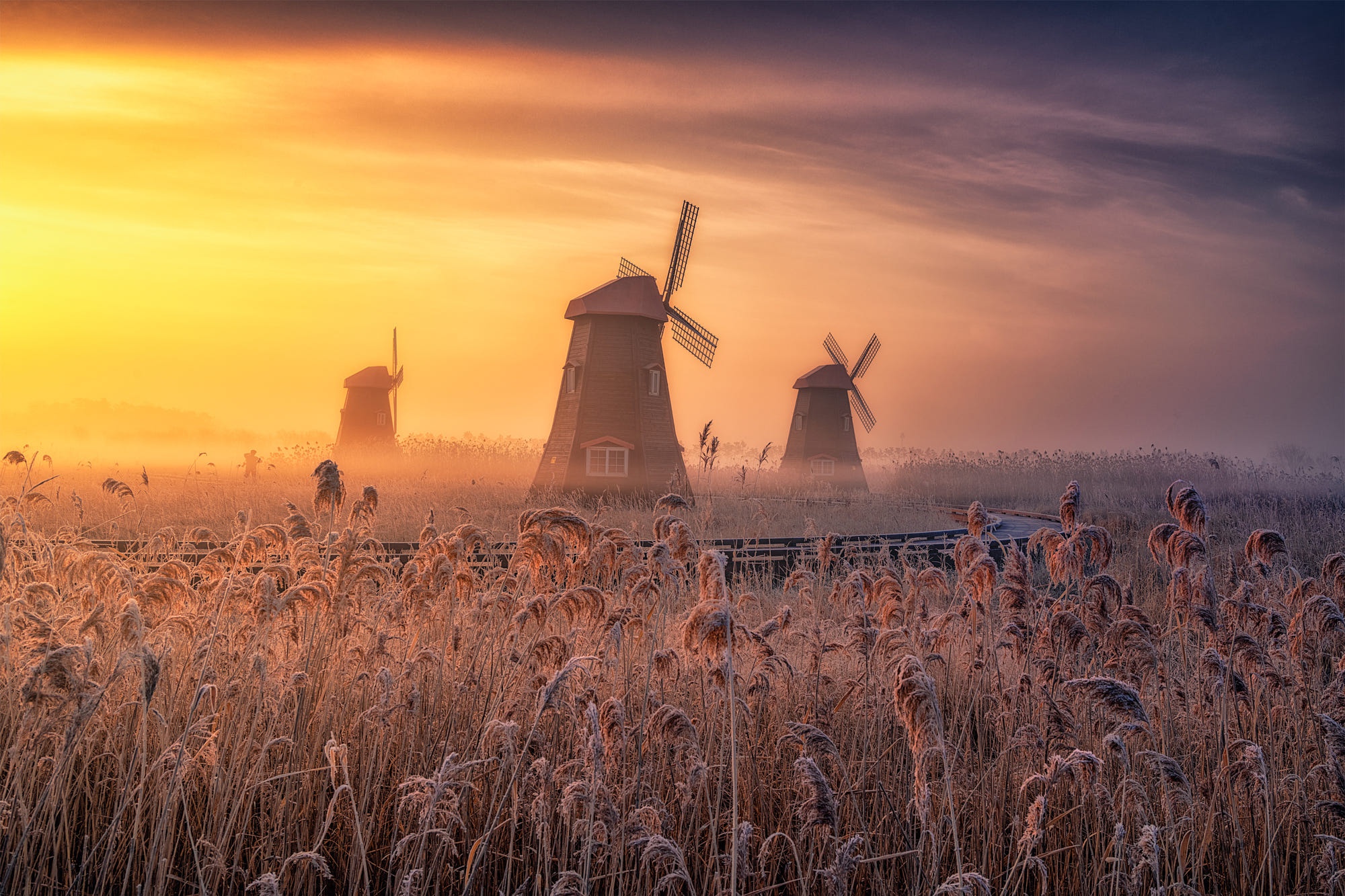 Free download wallpaper Fog, Windmill, Man Made on your PC desktop