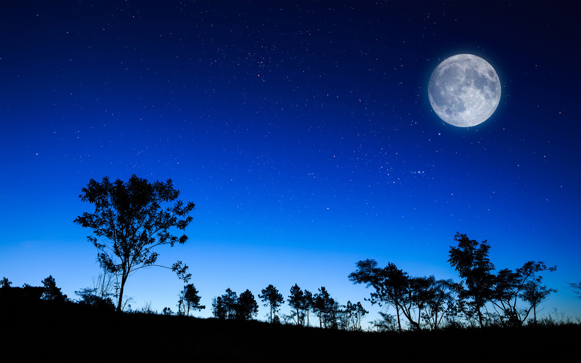 Free download wallpaper Landscape, Trees, Night, Sky, Moon on your PC desktop