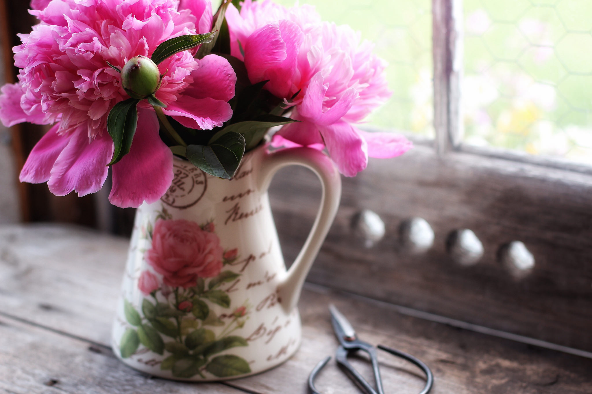 PCデスクトップに静物, 花, 牡丹, マンメイド, ピンクの花, ピッチャー画像を無料でダウンロード