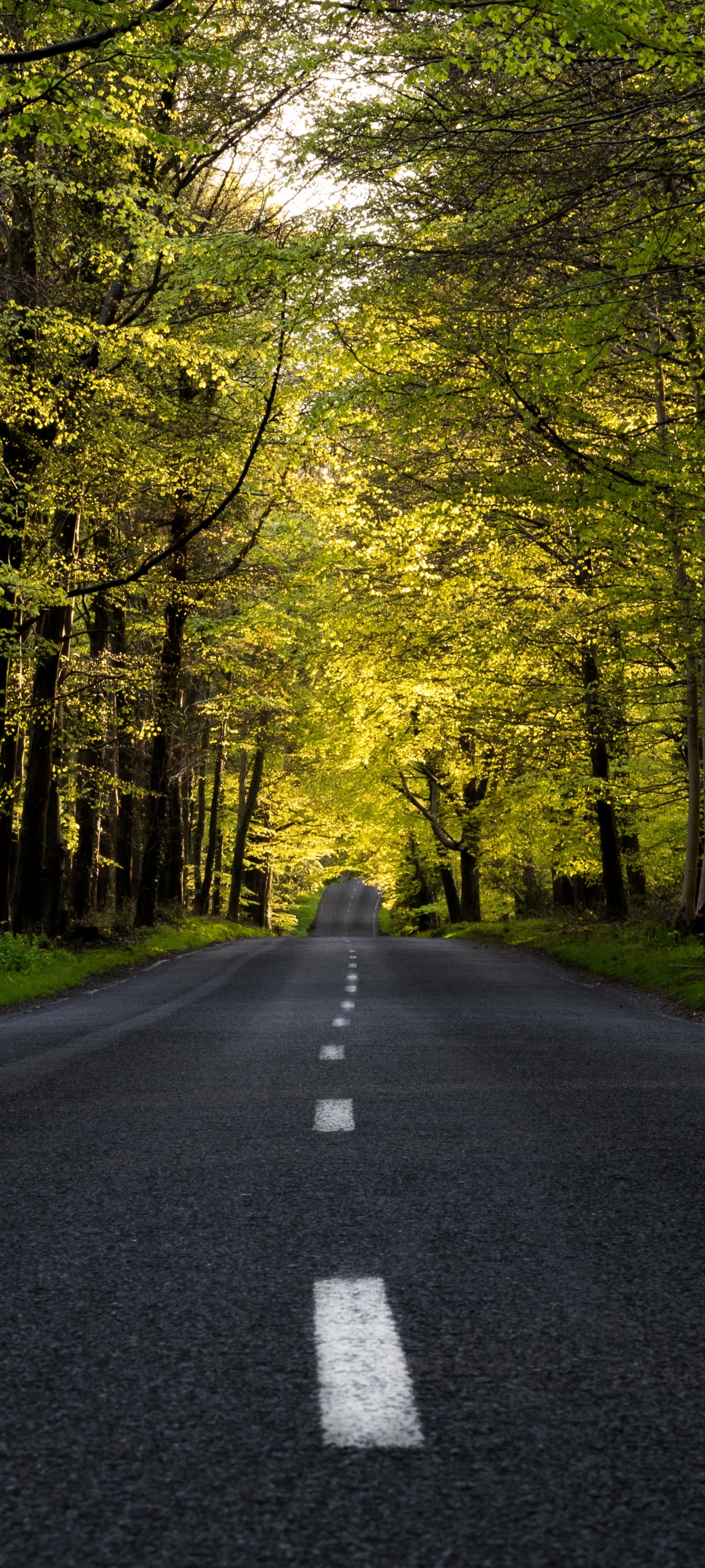 Descarga gratuita de fondo de pantalla para móvil de Carretera, Hecho Por El Hombre.